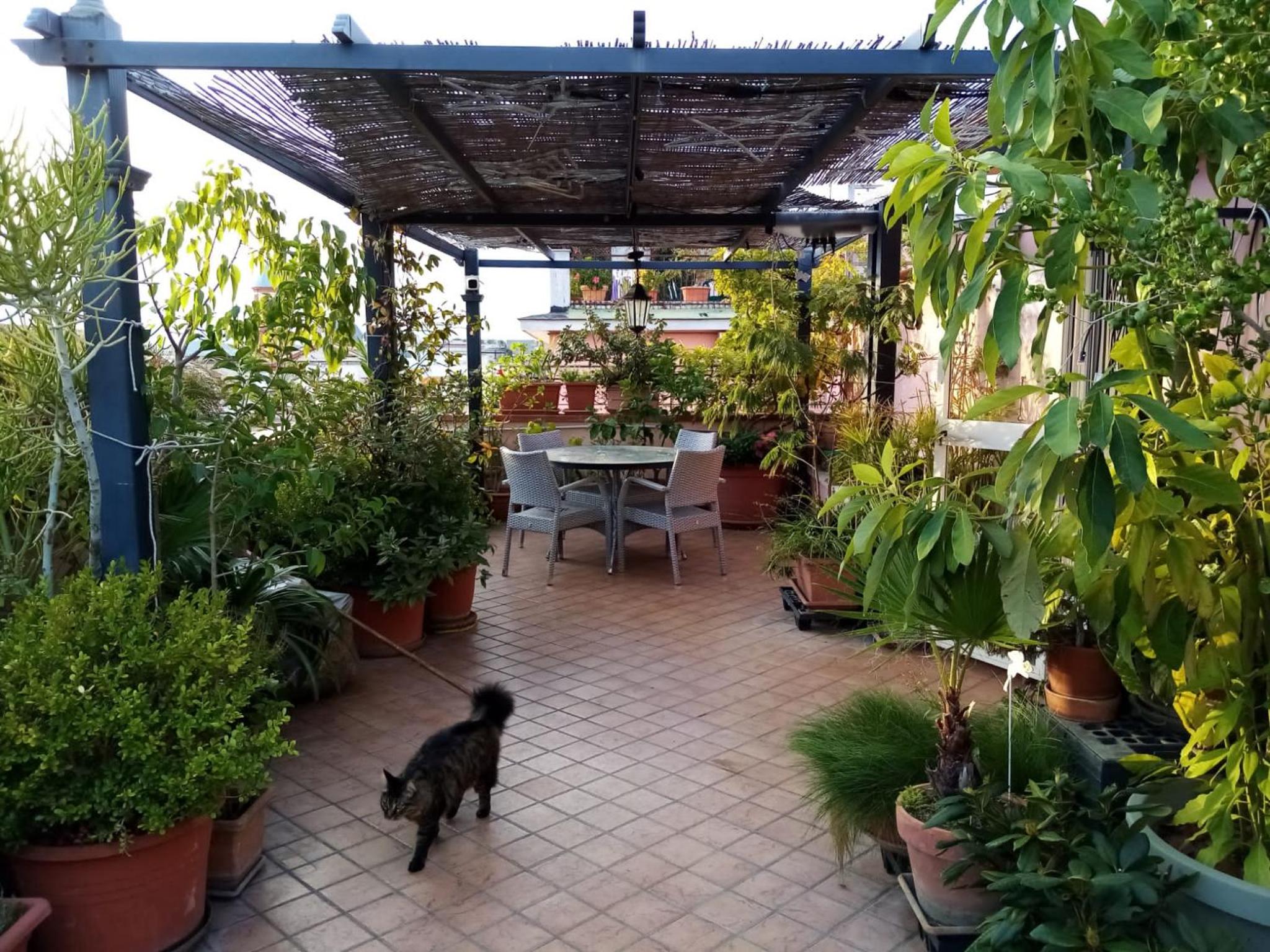 Il Nido della Quaglia b&b - Jaba mia House LT