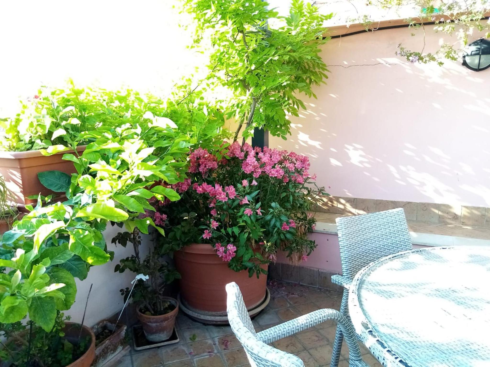 Il Nido della Quaglia b&b - Jaba mia House LT