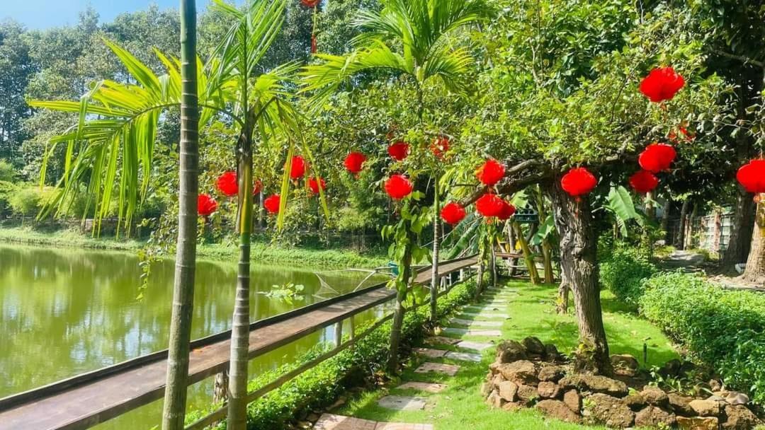 Photo 30