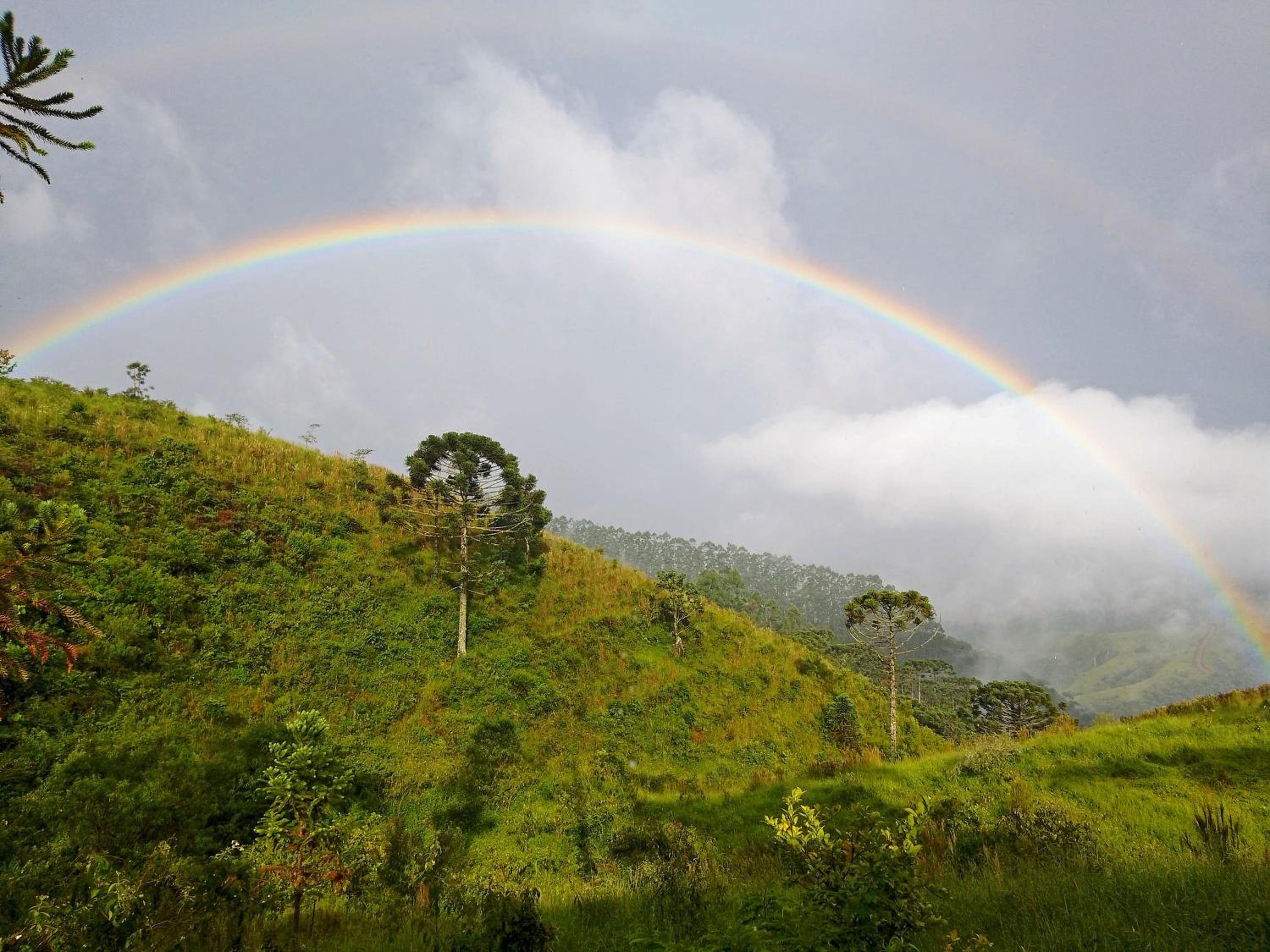 Chalé Rústico com Vista nas Montanhas Mantiqueira