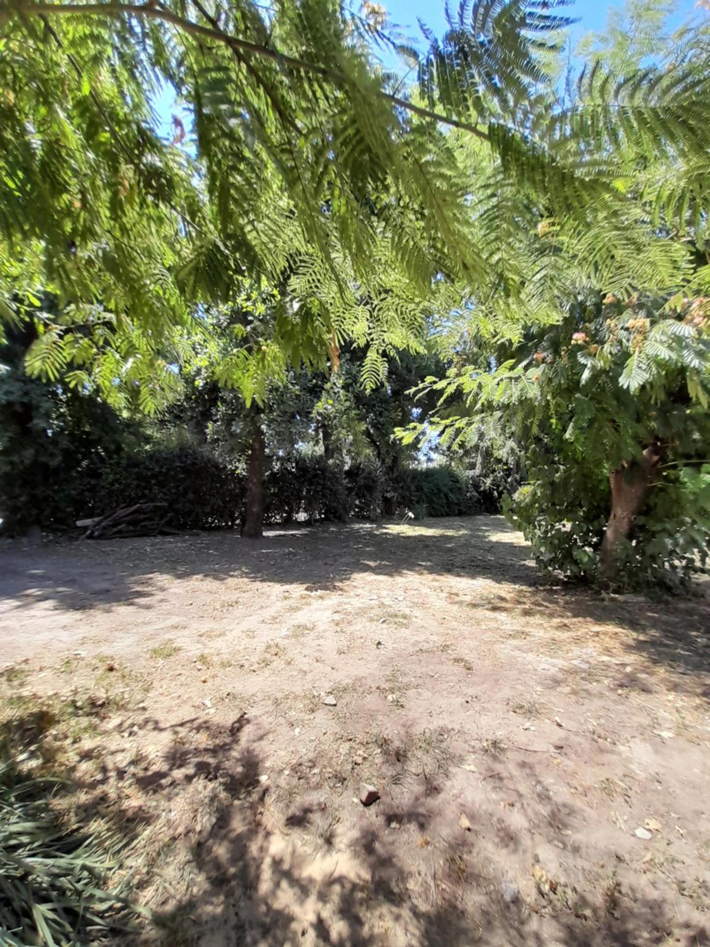 Los Robles