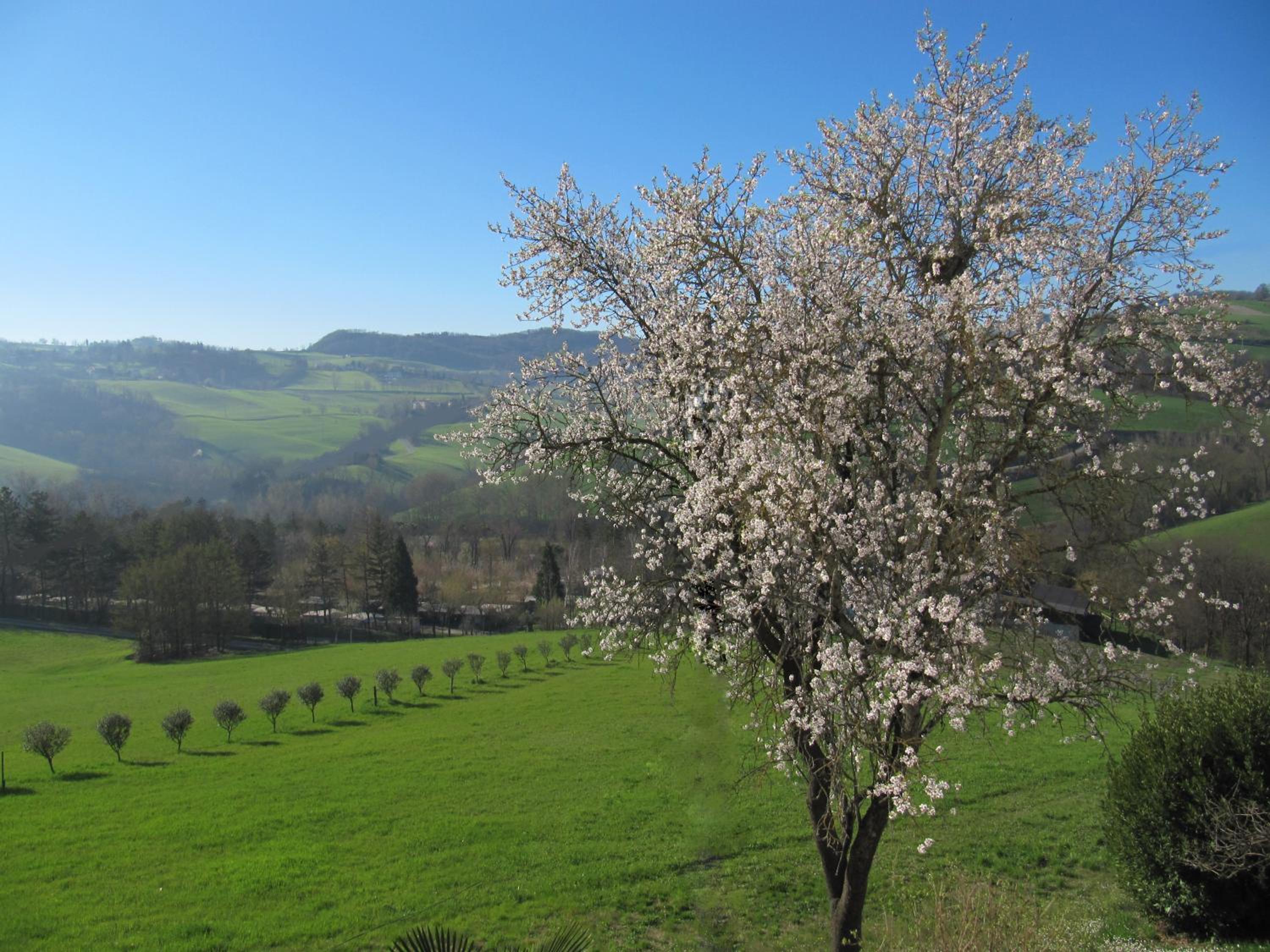 Casa Bruna Appartamenti view 4