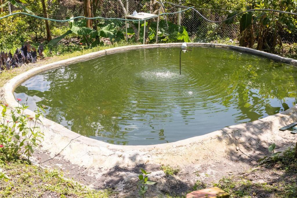 Casa campestre clima caliente - agroturismo