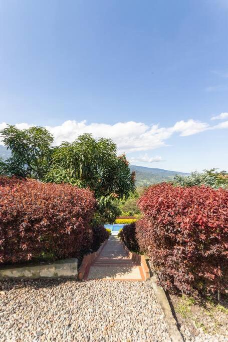 Casa campestre clima caliente - agroturismo