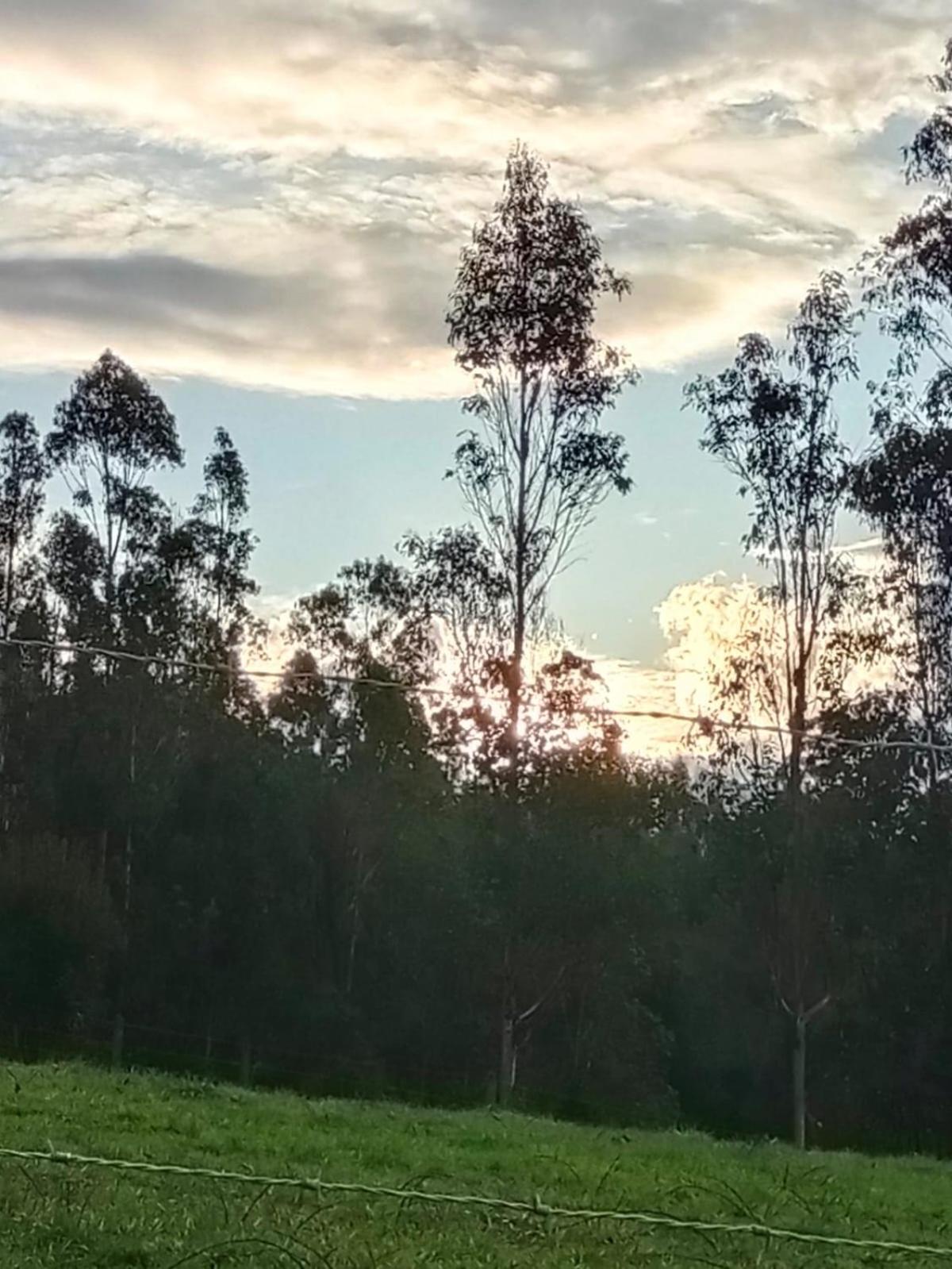 Donde La Euli.