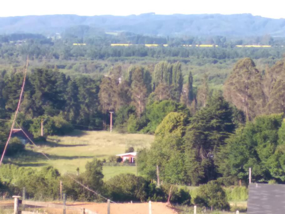 Donde La Euli.