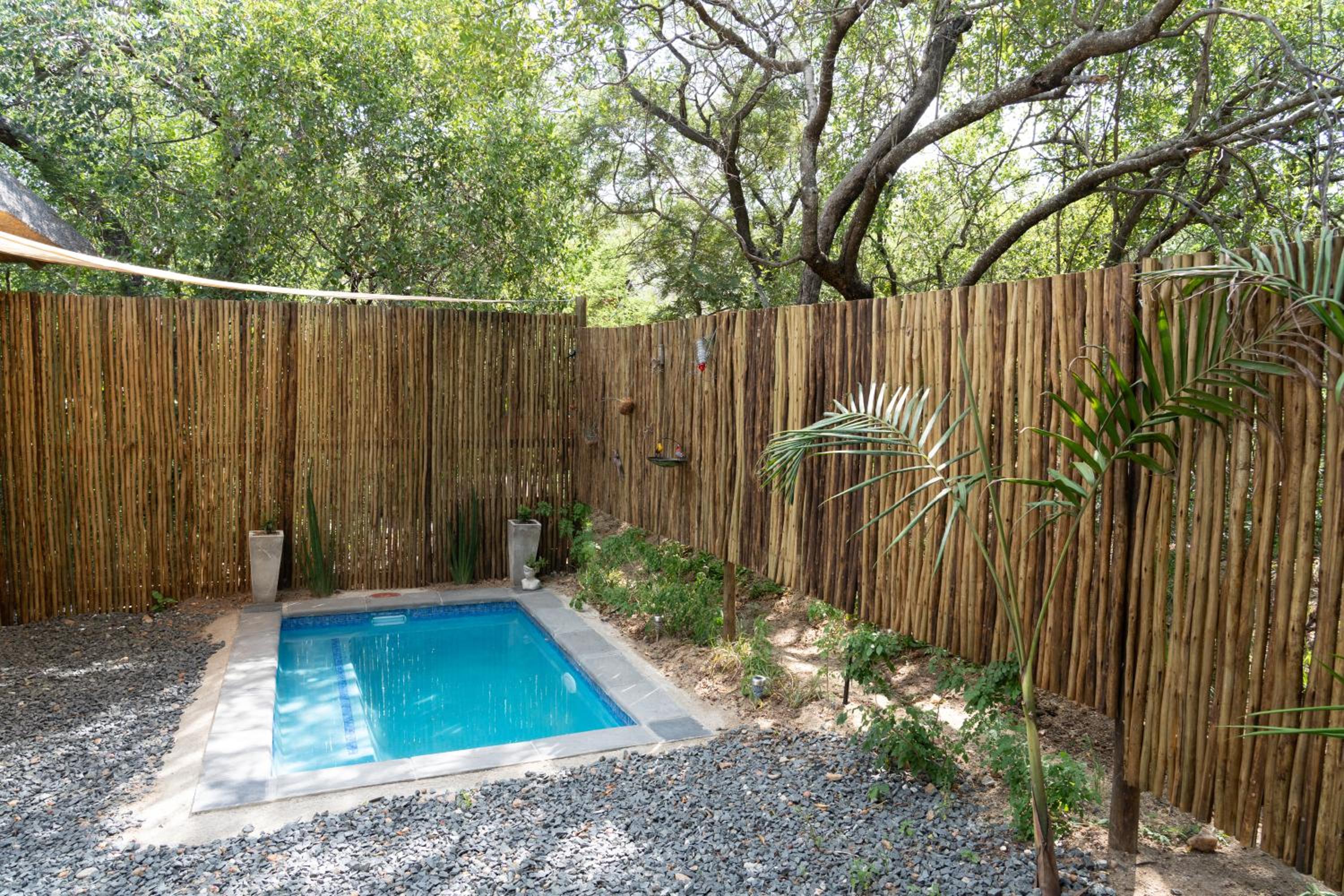 Braai Safaris Lodge view 5