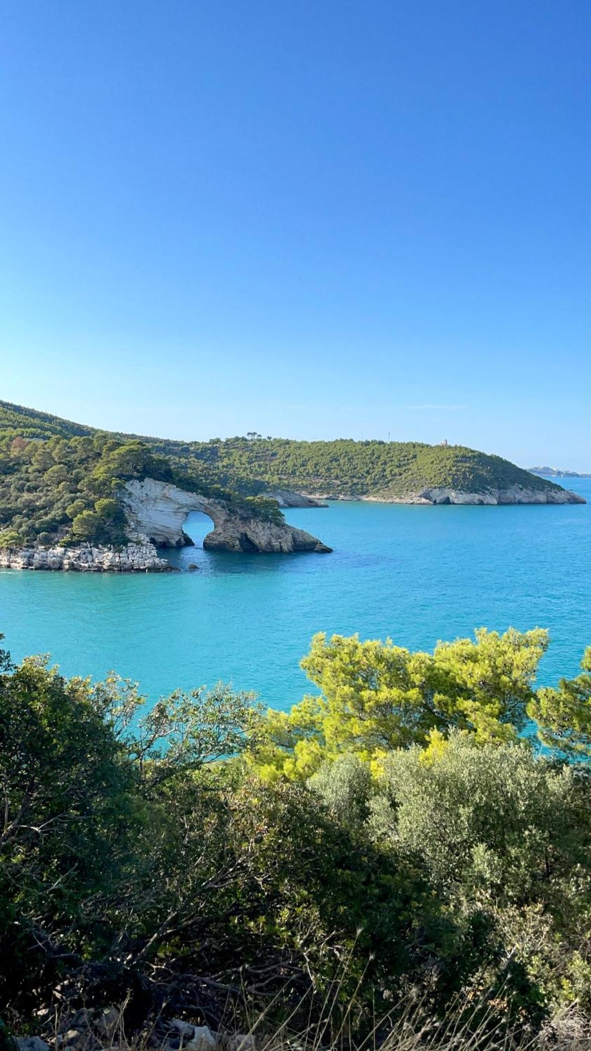Arcaroli Borgo Vico "Exclusive"