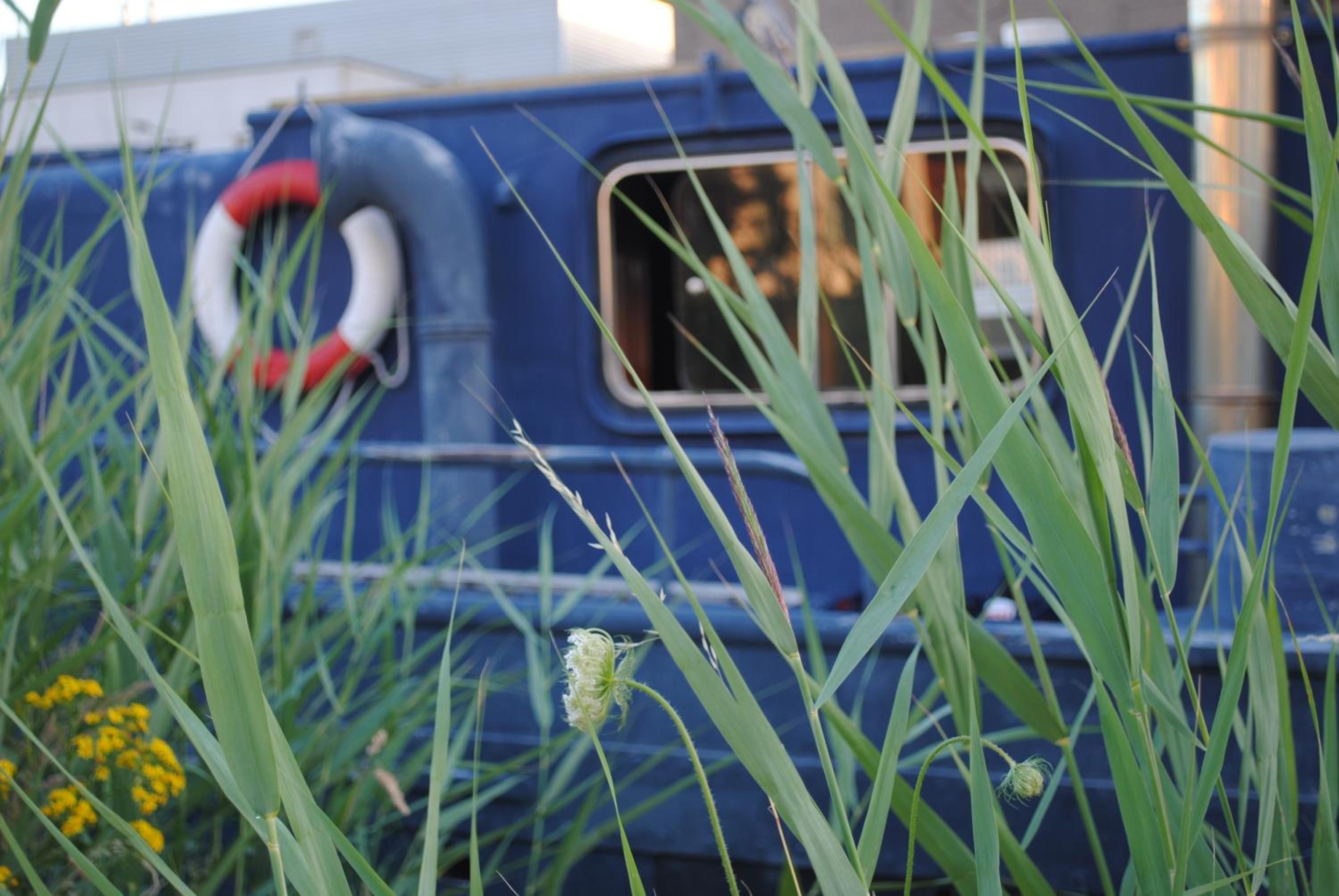 Boat & Breakfast Bellevue