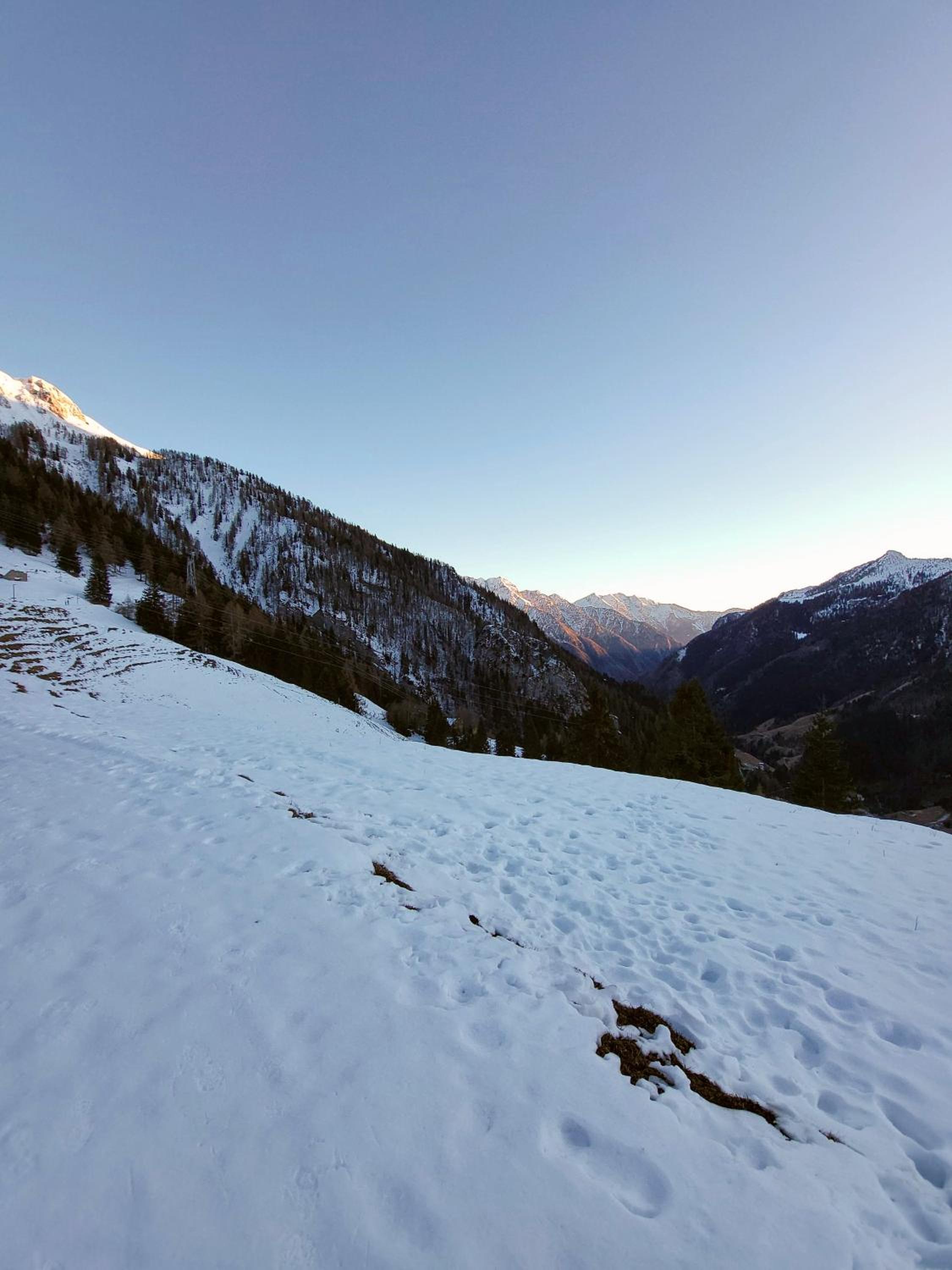 ViviFoppolo view 4