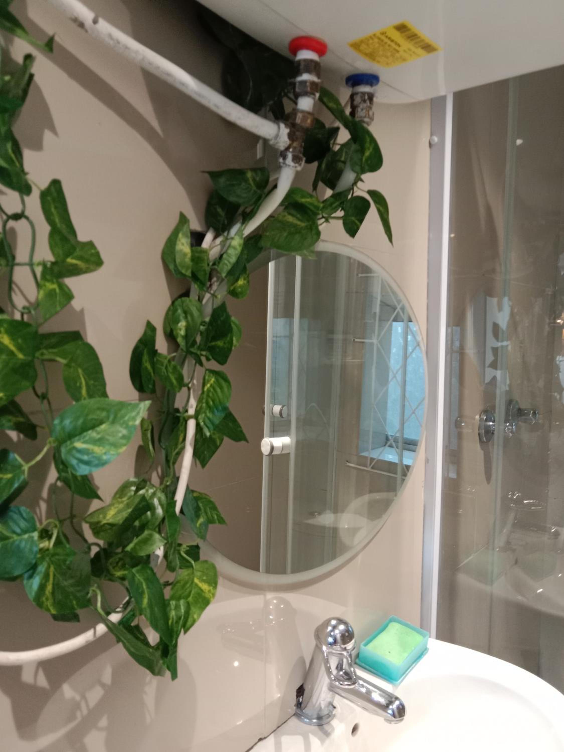 Cozy Private En Suite Studio