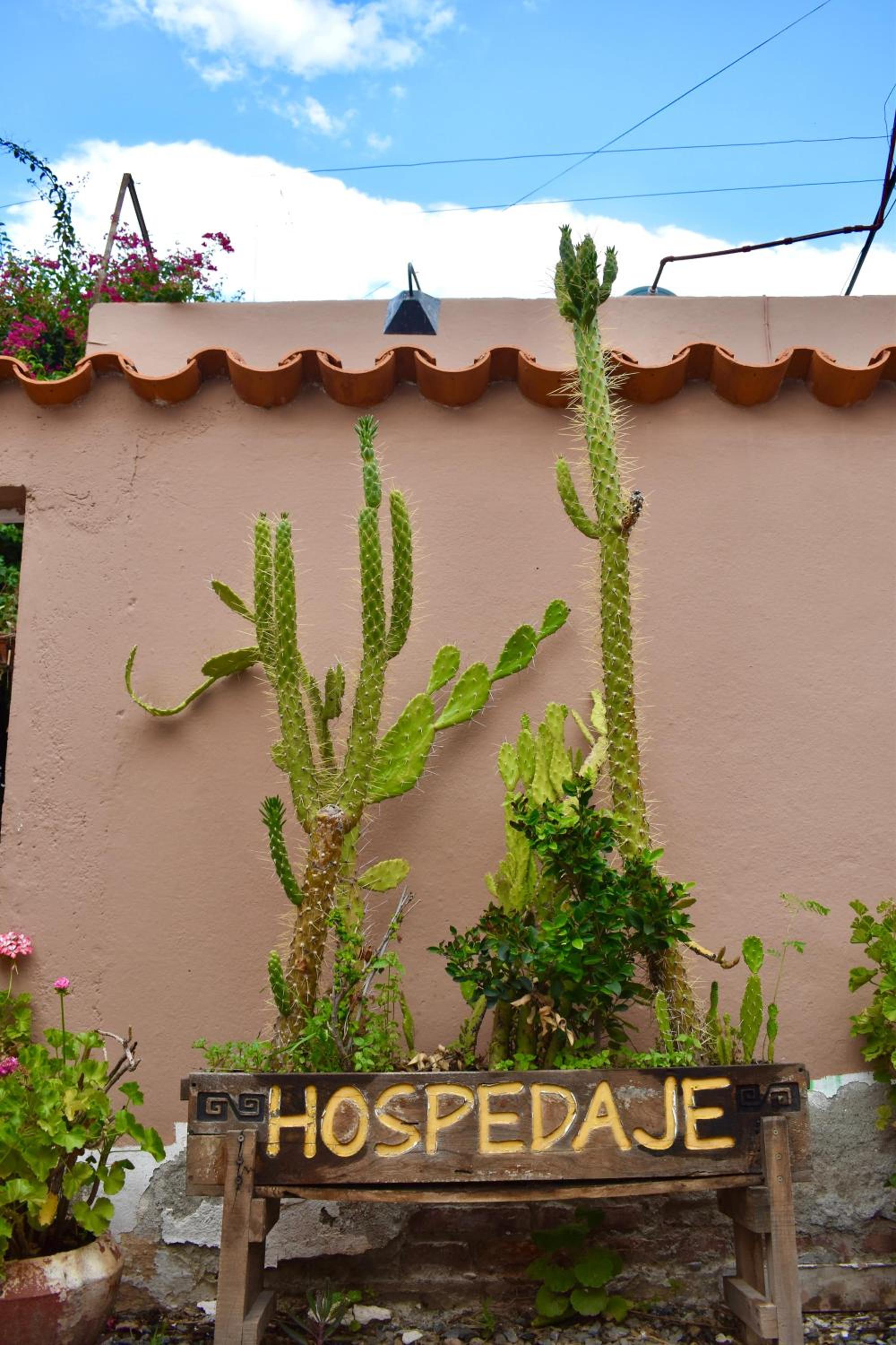 Hospedaje Los Cardones