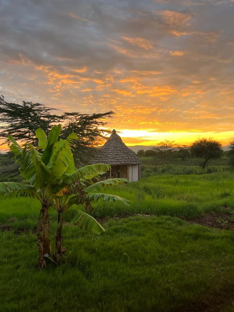Jua Manyara Lodge & Camp Site