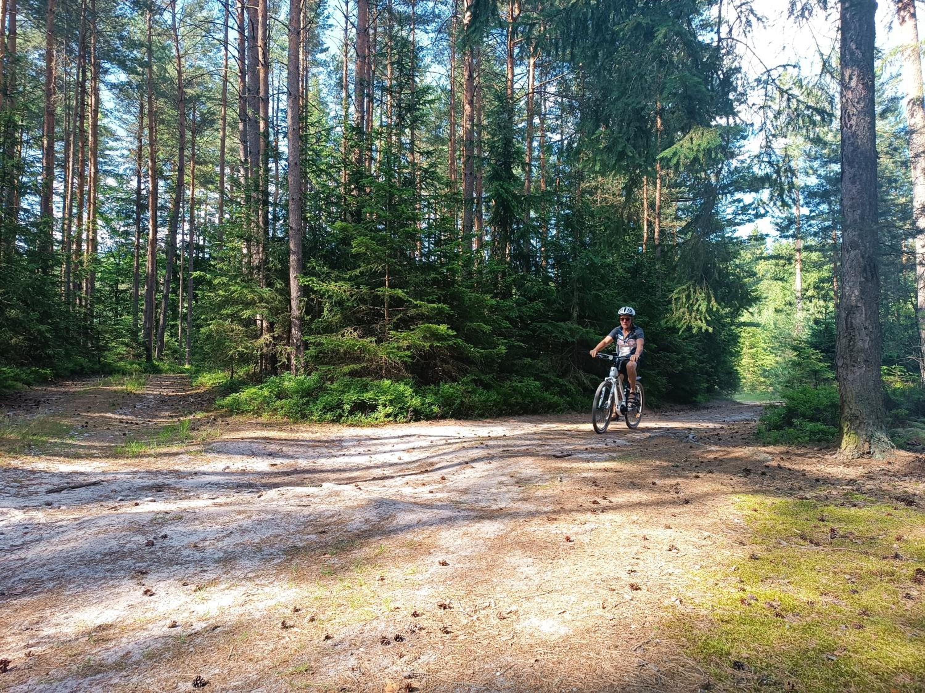 Klidná lokalita Na kraji lesa, celý dům s úschovnu kol