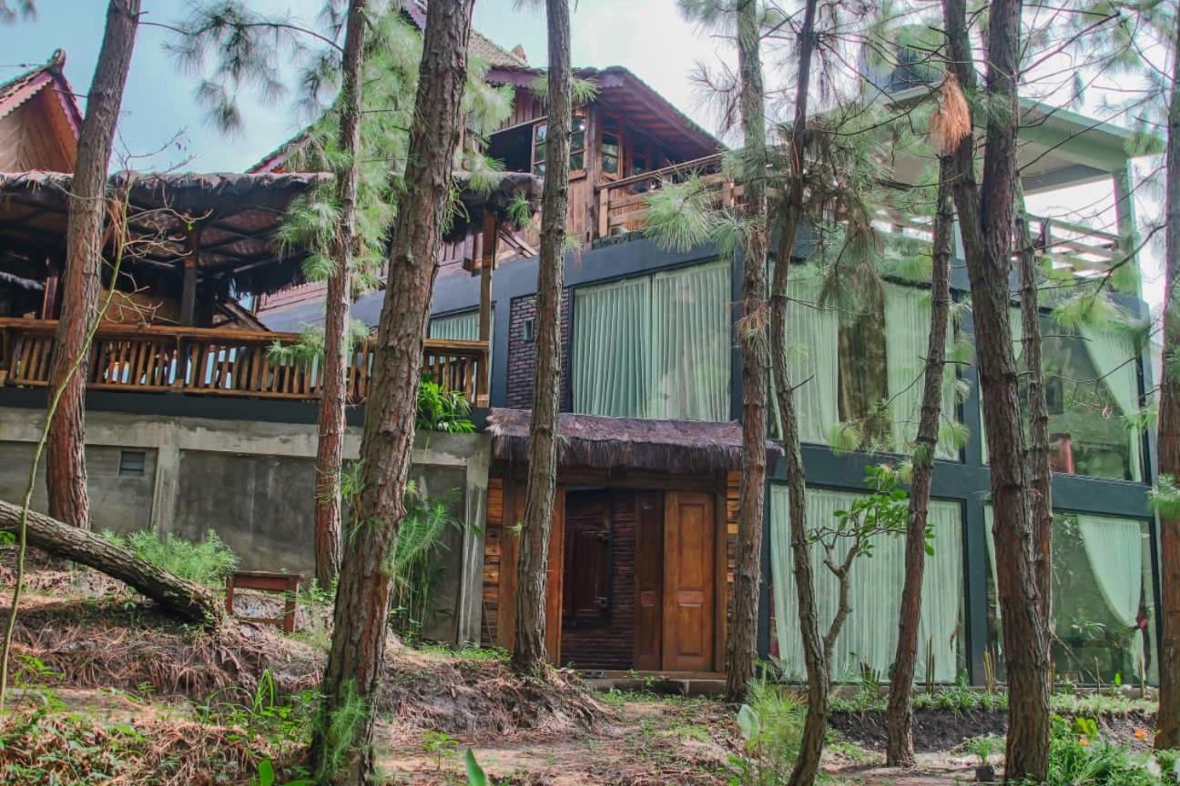 AAA, Omah Kayu, Exclusive Bromo Tour Villa, Managed by Triple A Tour, Including Bromo Jeep Tour and Airport Shuttle view 4