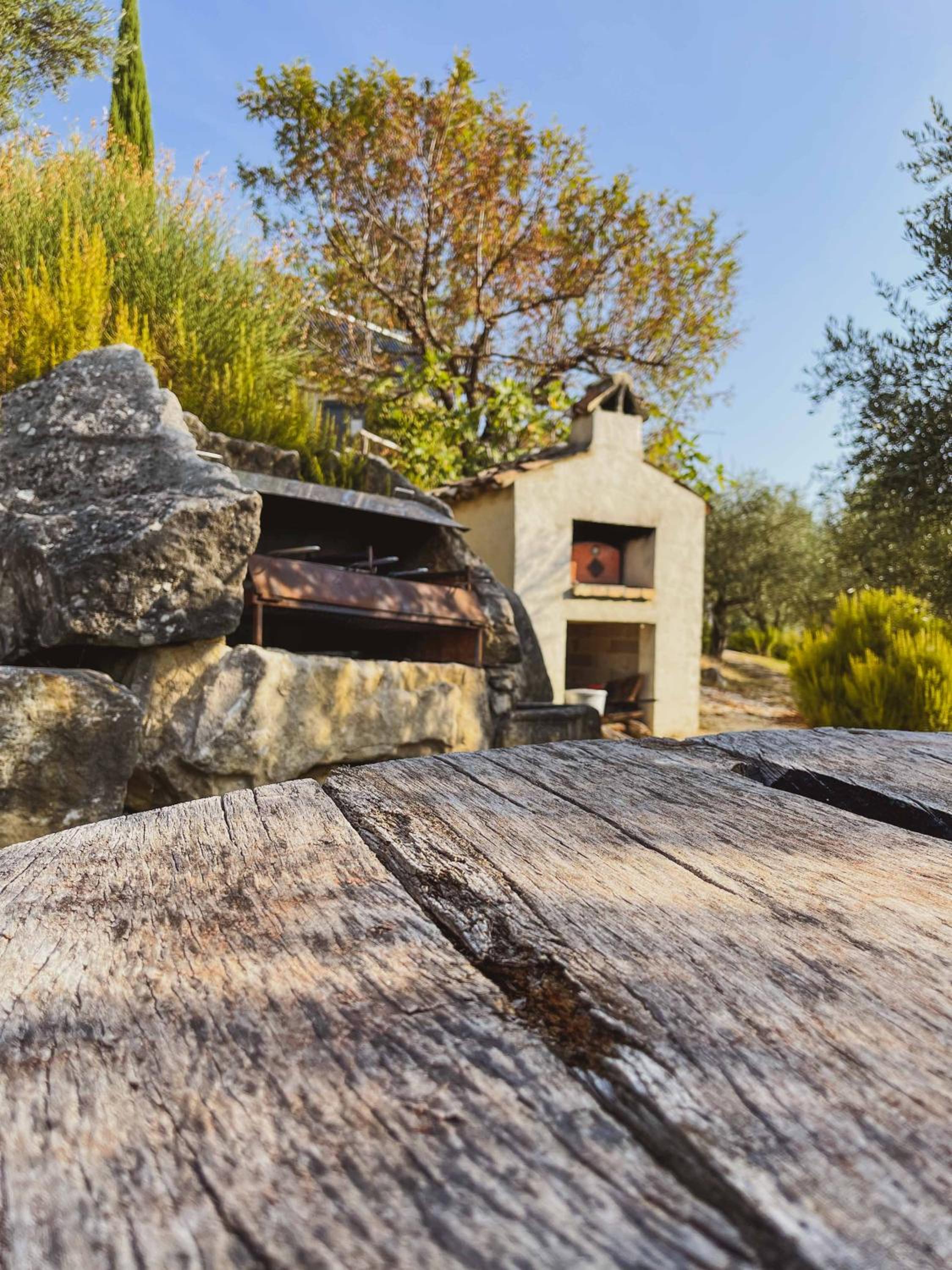 Azienda Agricola Pietra Pizzuta