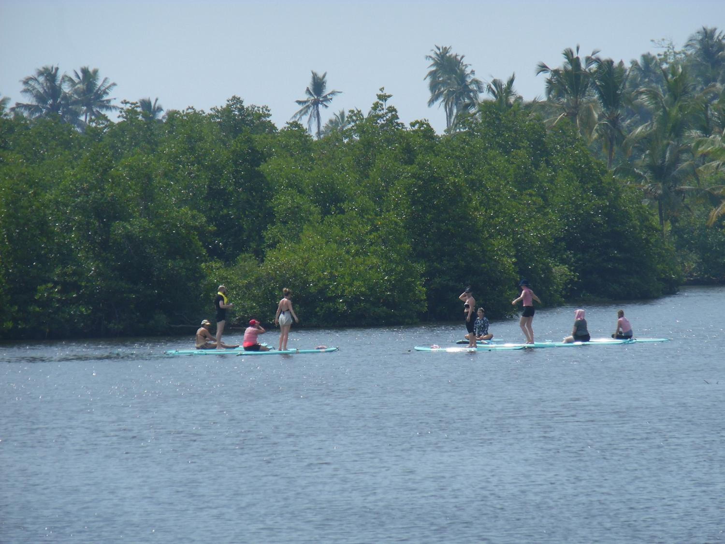Photo 41