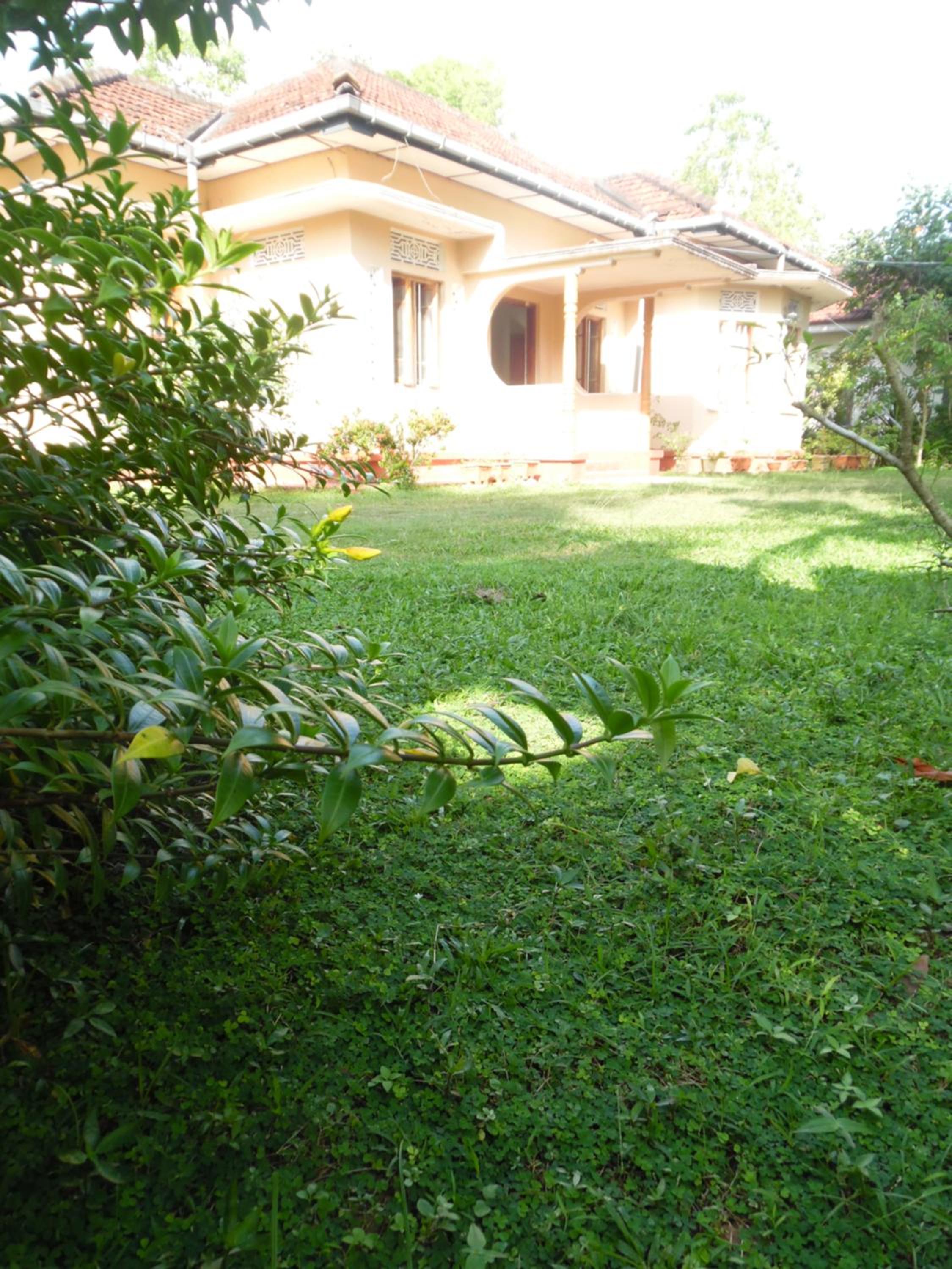 Photo 34