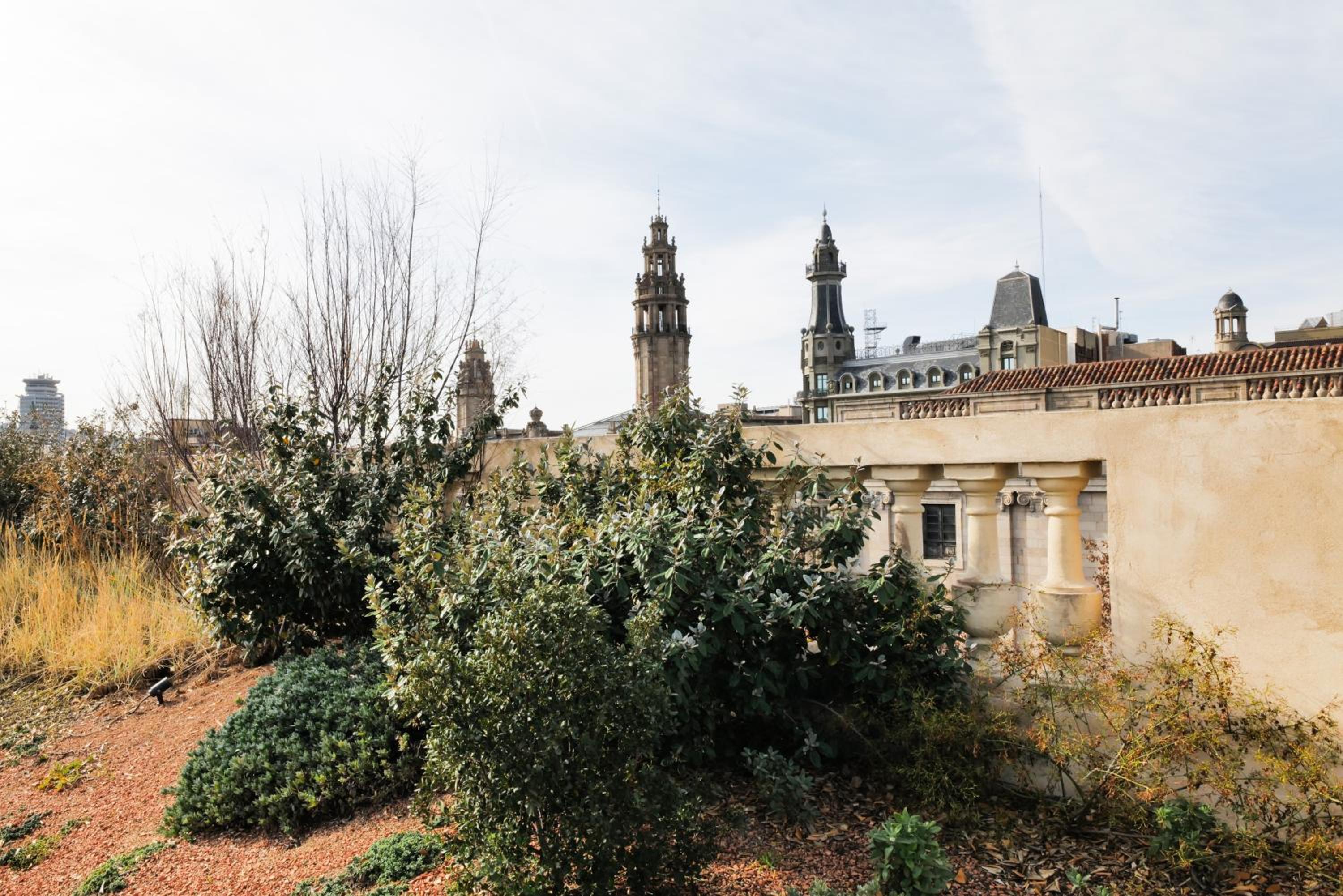 Hostal Porxos Garden