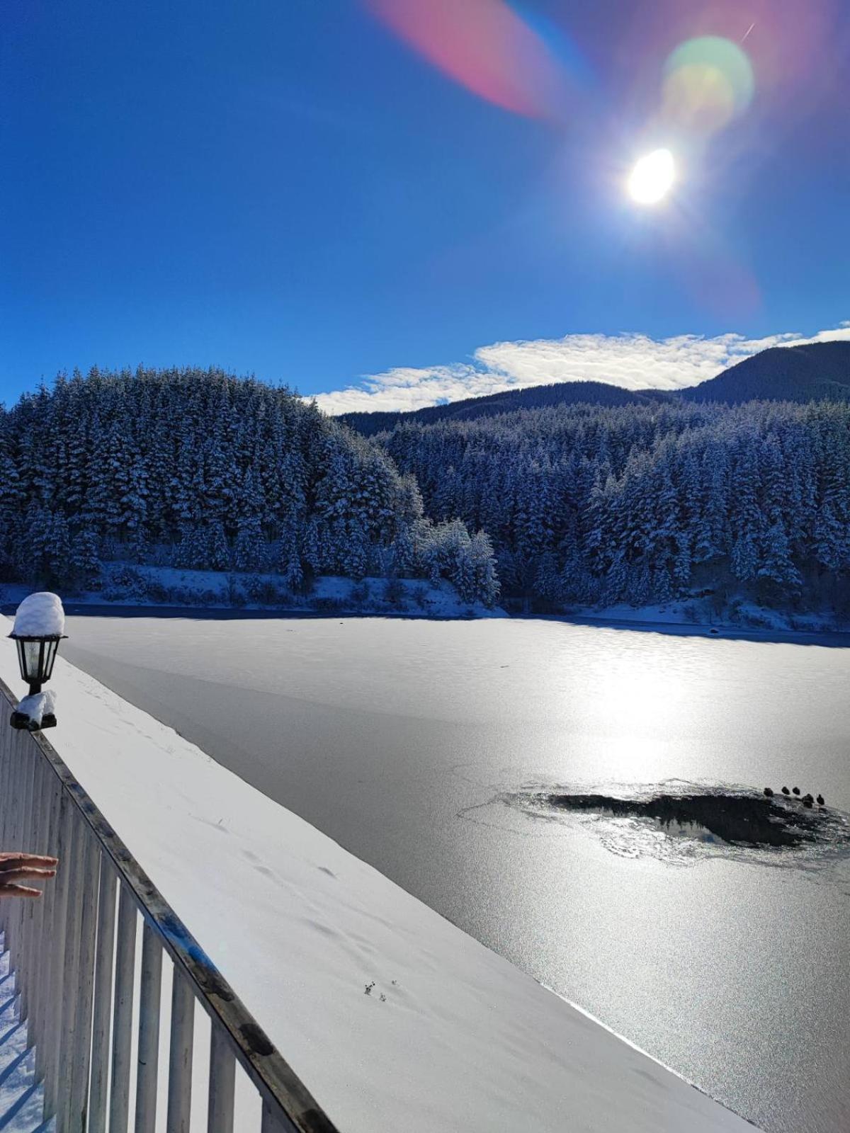 St Ivan Rilski SPA Luxury Apartment Bansko