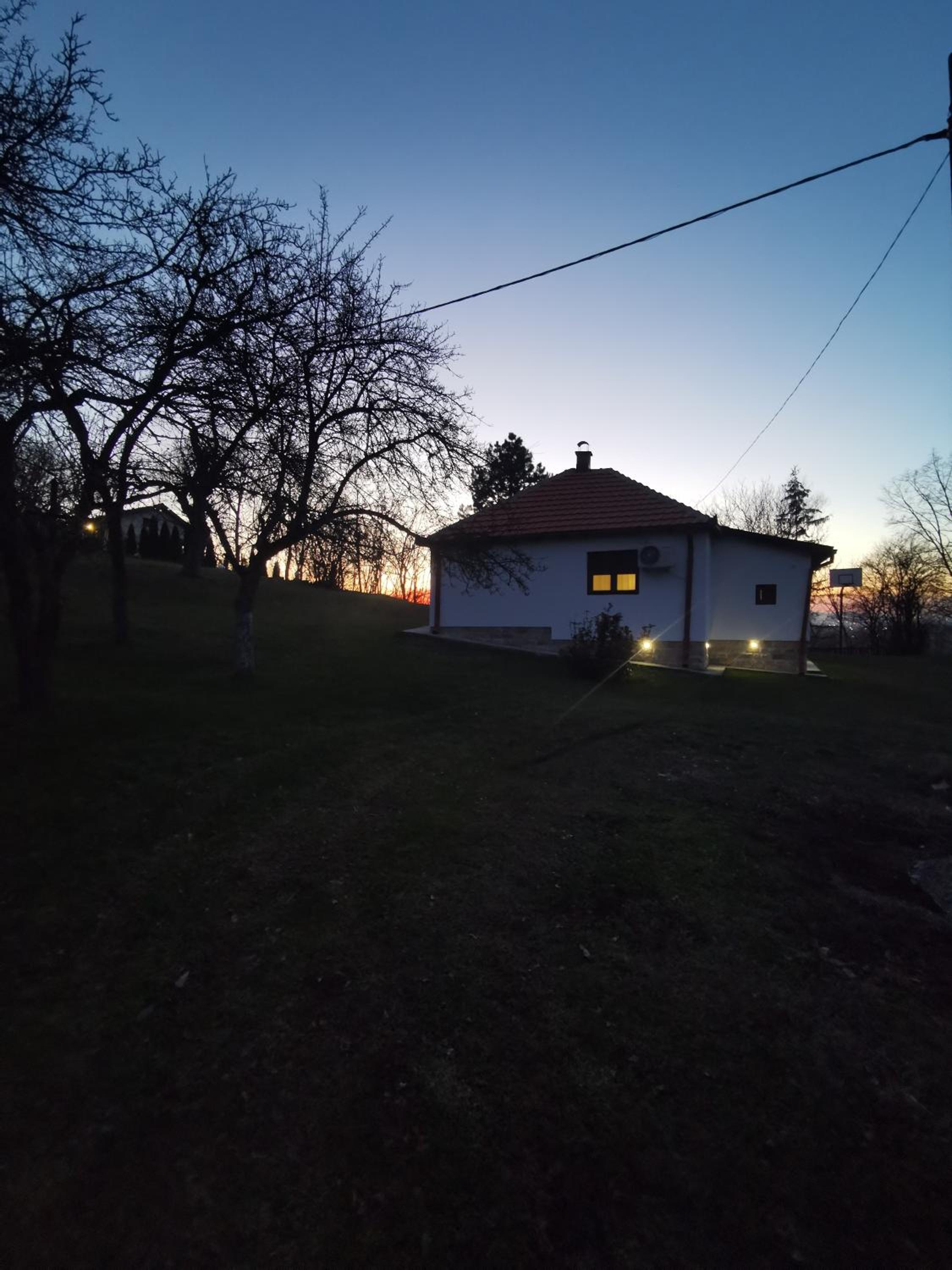 Topola vikendica