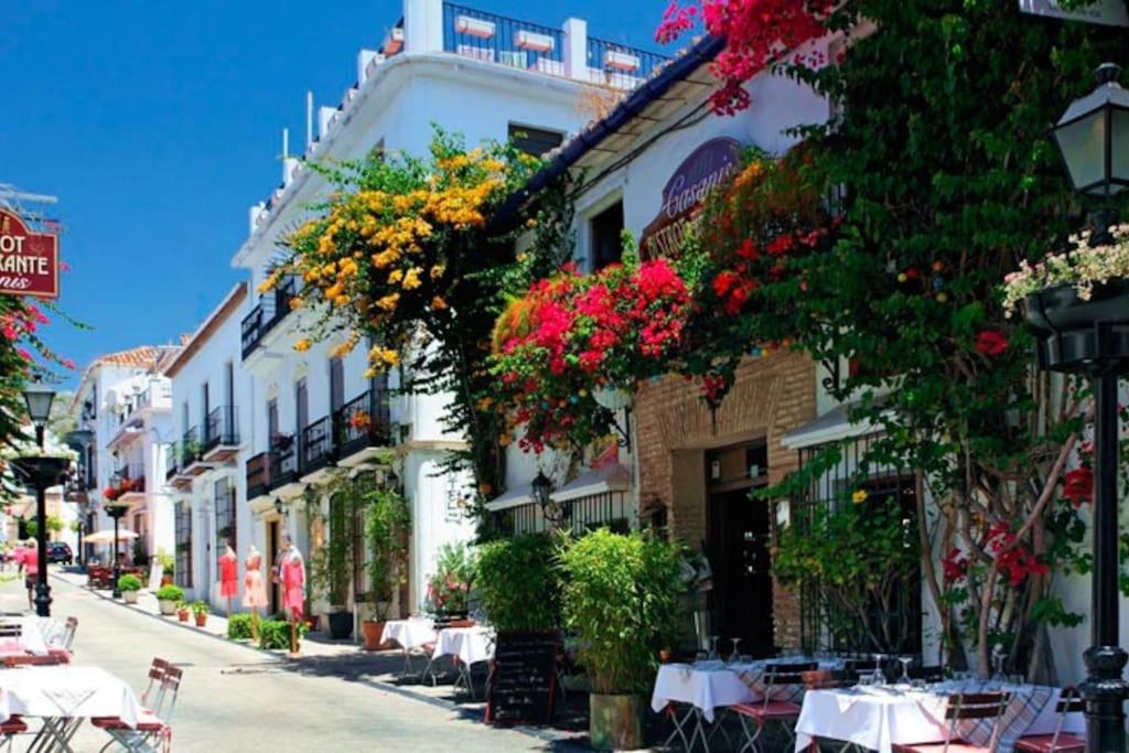 Bonito apt. en casco historico view 2