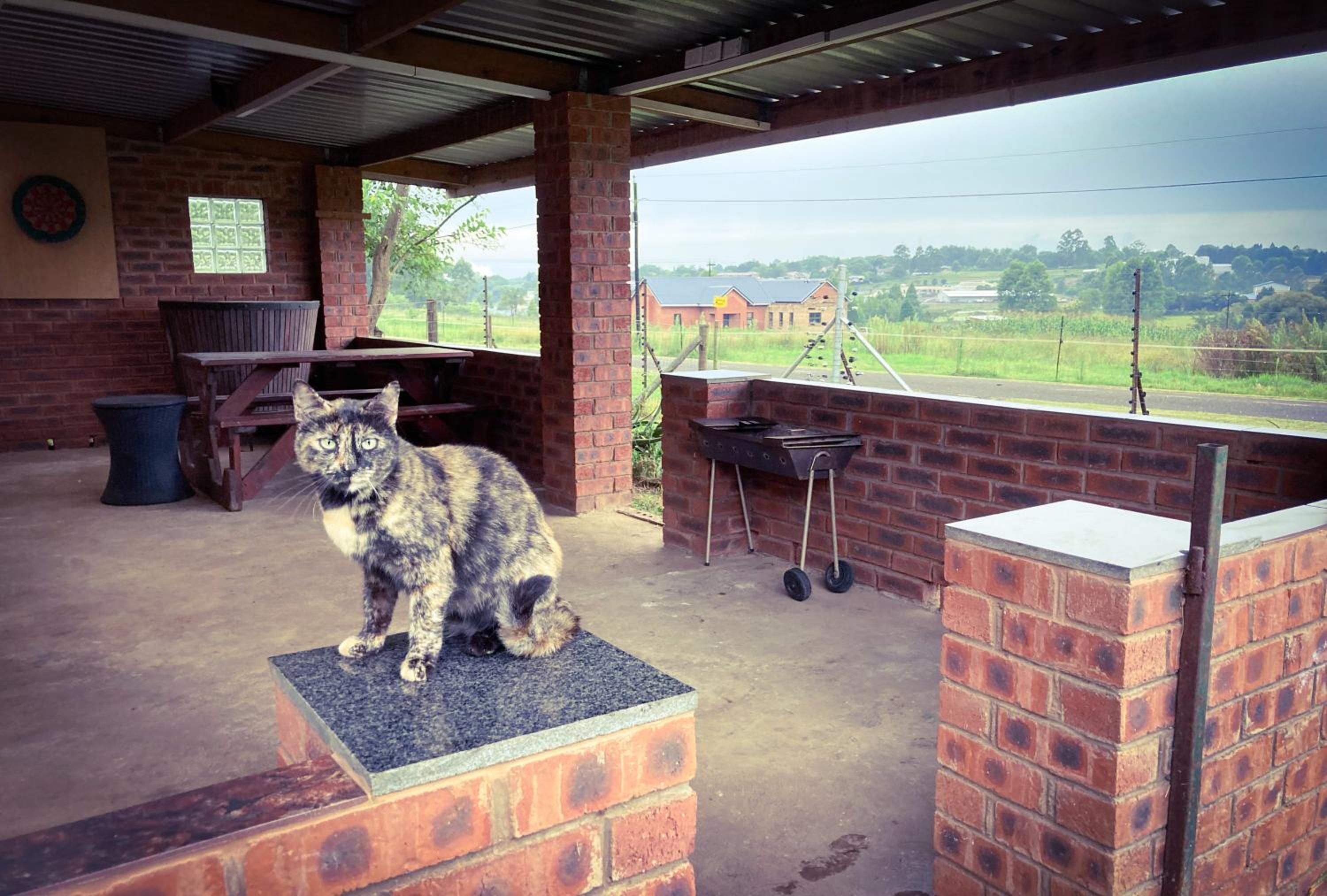 The Blow-Inn Farmer, Sunrise Cottage view 2