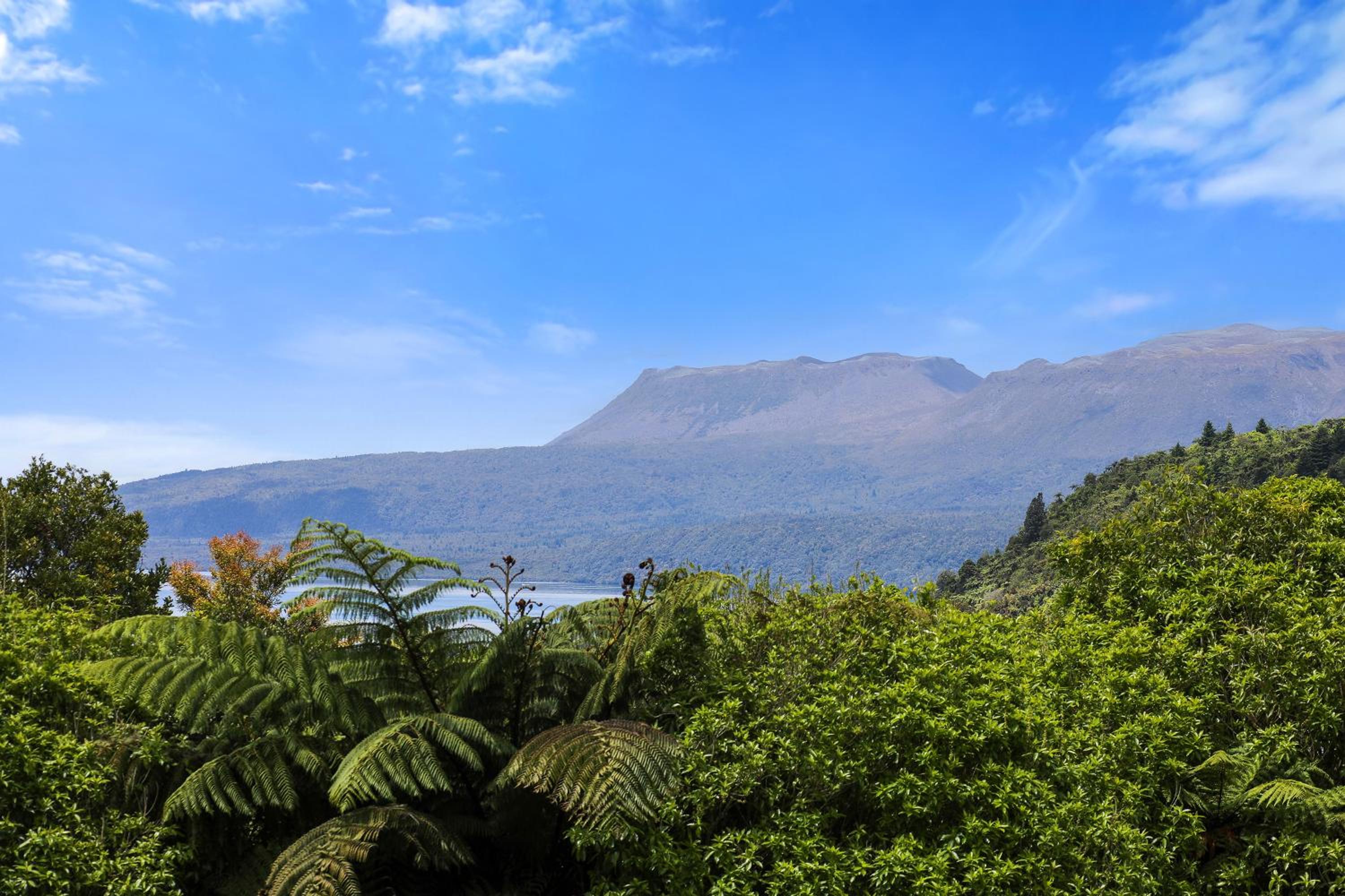Tarawera Paradise
