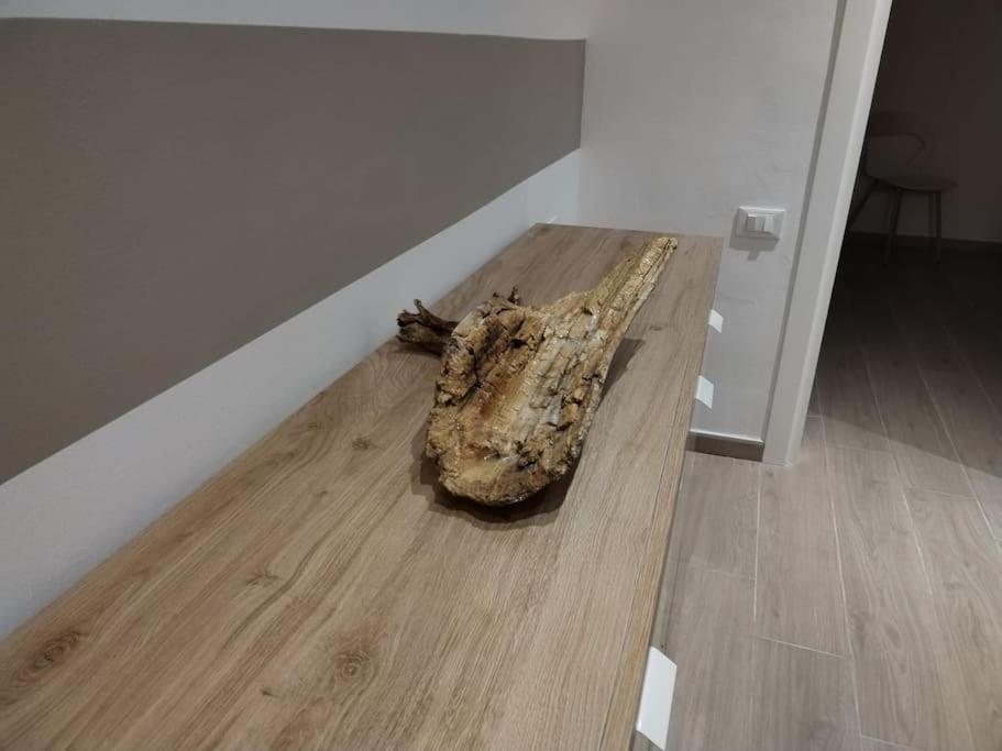 Appartamento il legno di mare