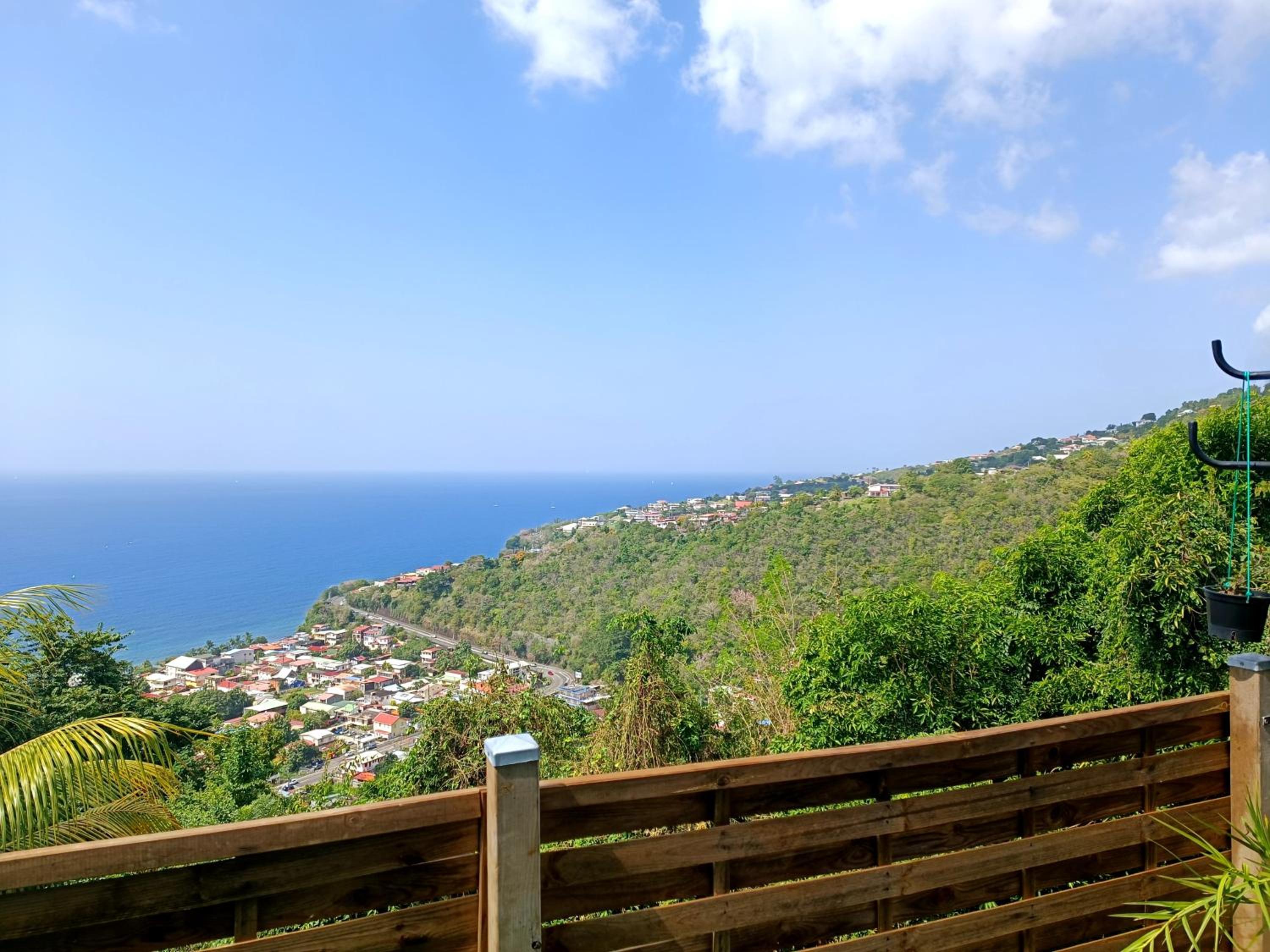 Poz Tropicale view 5