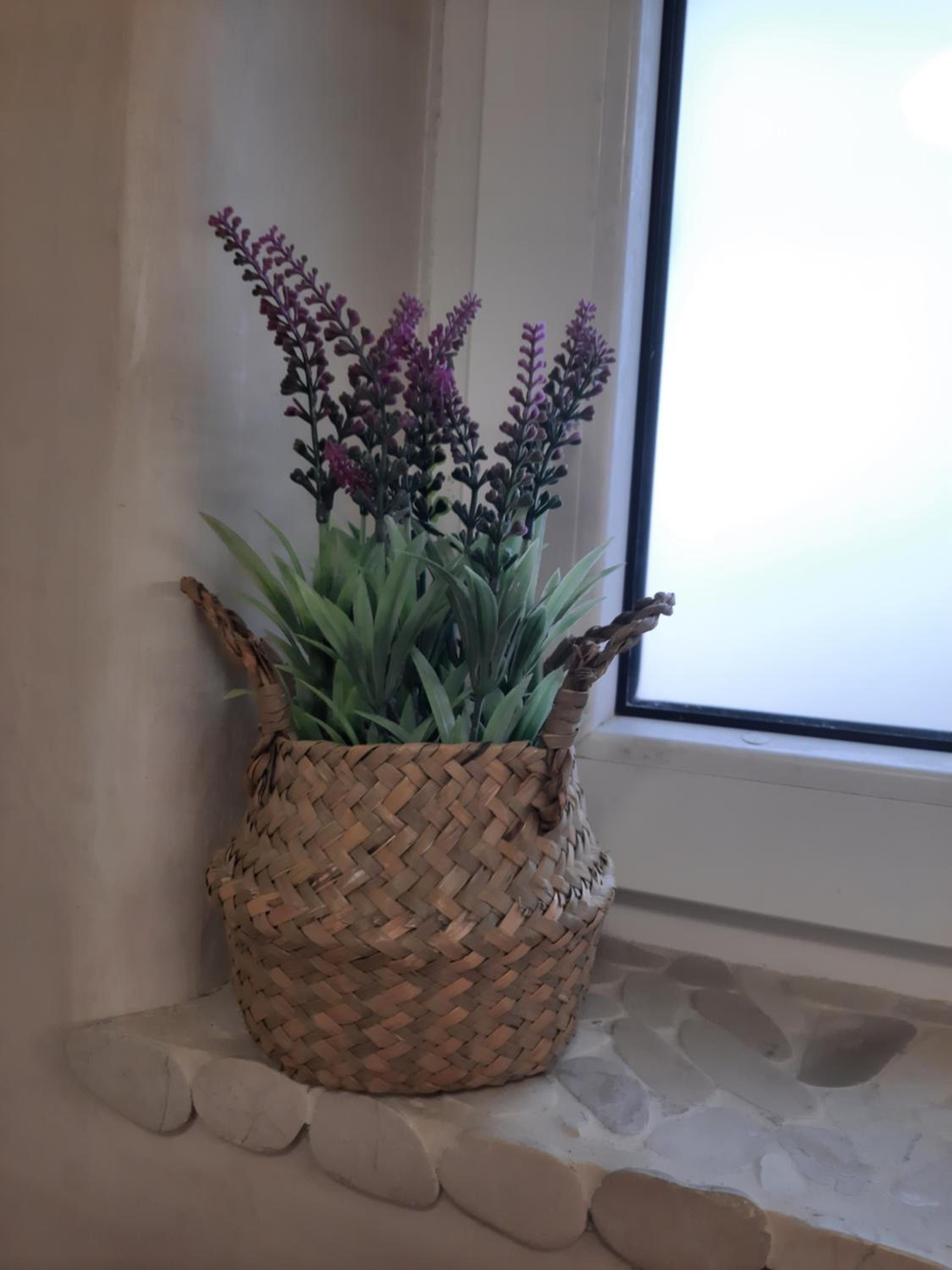 Apartmán Vital na Pálavě - ubytování & životní restart