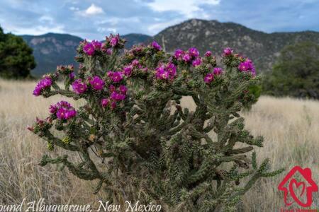 Desert Skyline Getaway - Single Story - 3 Kings view 5