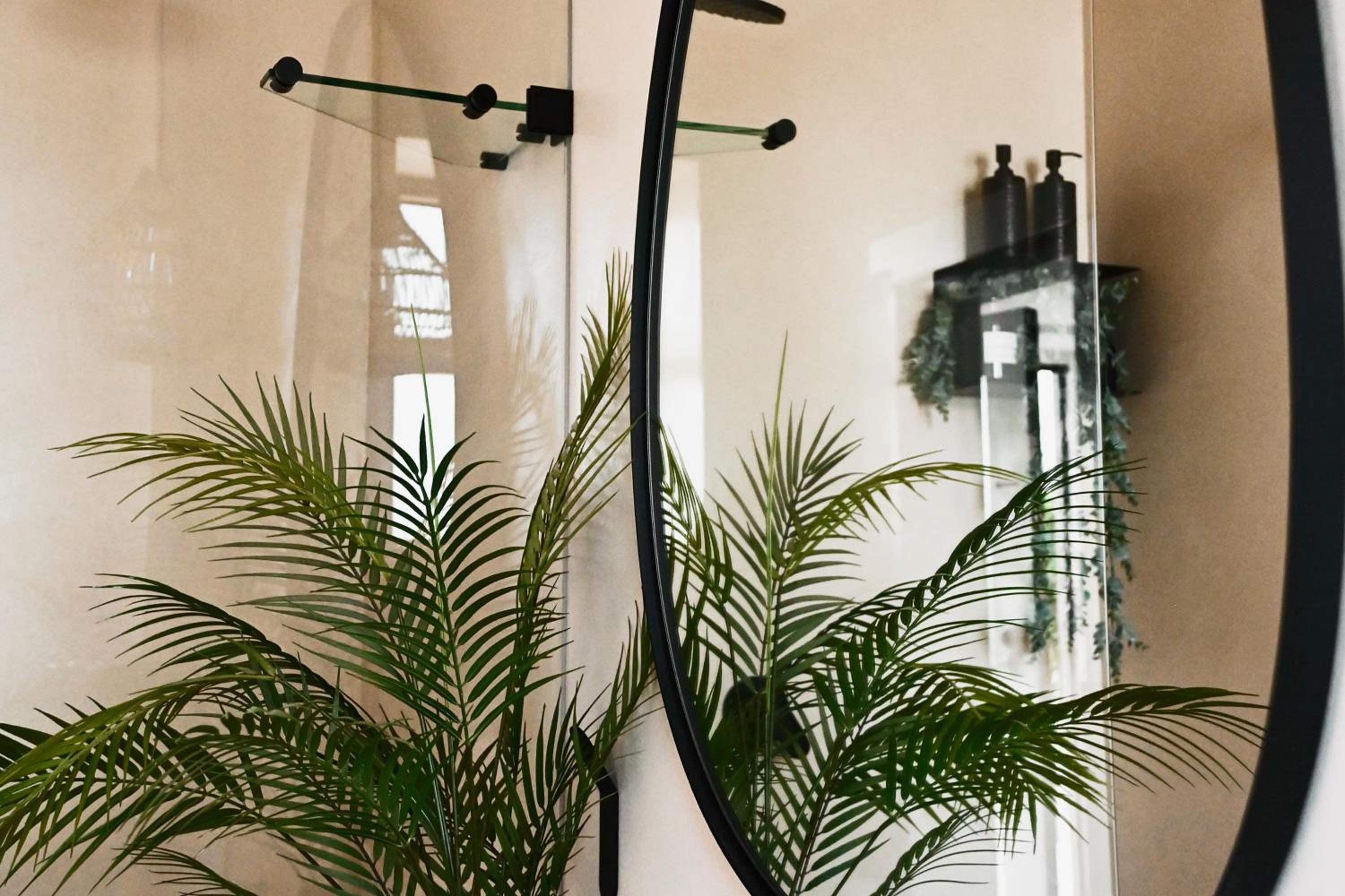 Designer Luxe Stellies Studio