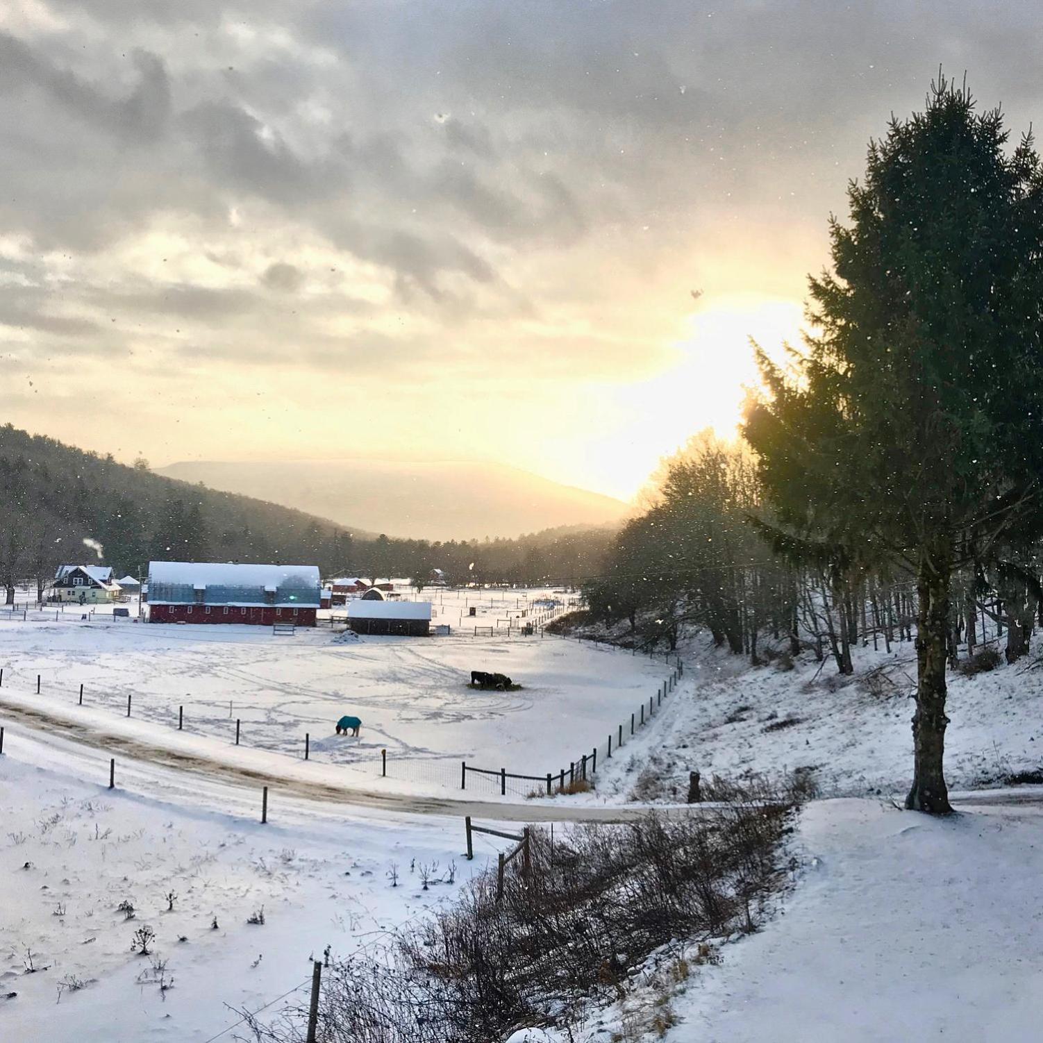 The Blue House On The Hill Catskills—Views