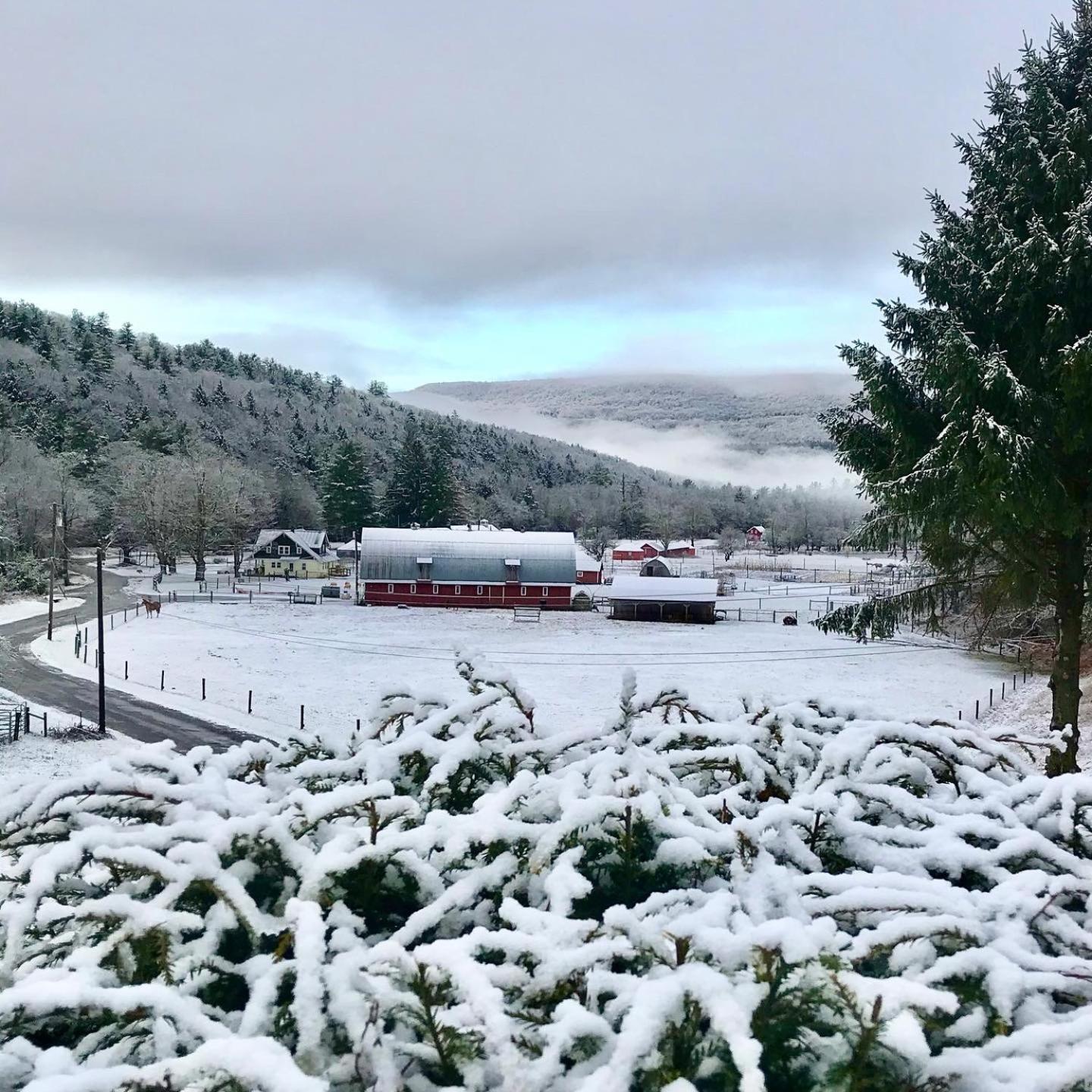 The Blue House On The Hill Catskills—Views