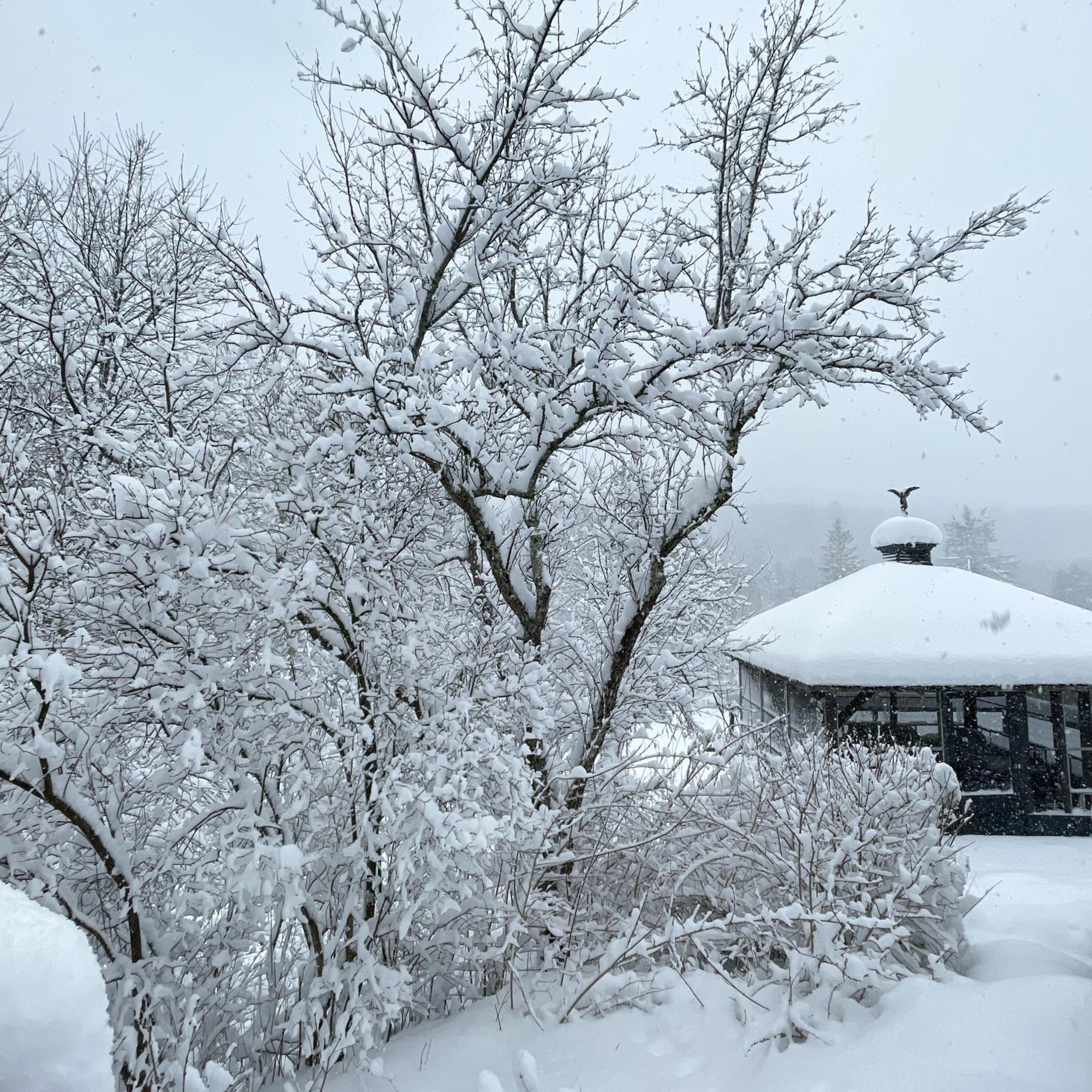 The Blue House On The Hill Catskills—Views