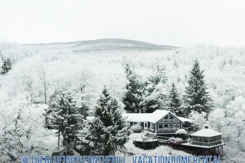 The Blue House On The Hill Catskills—Views