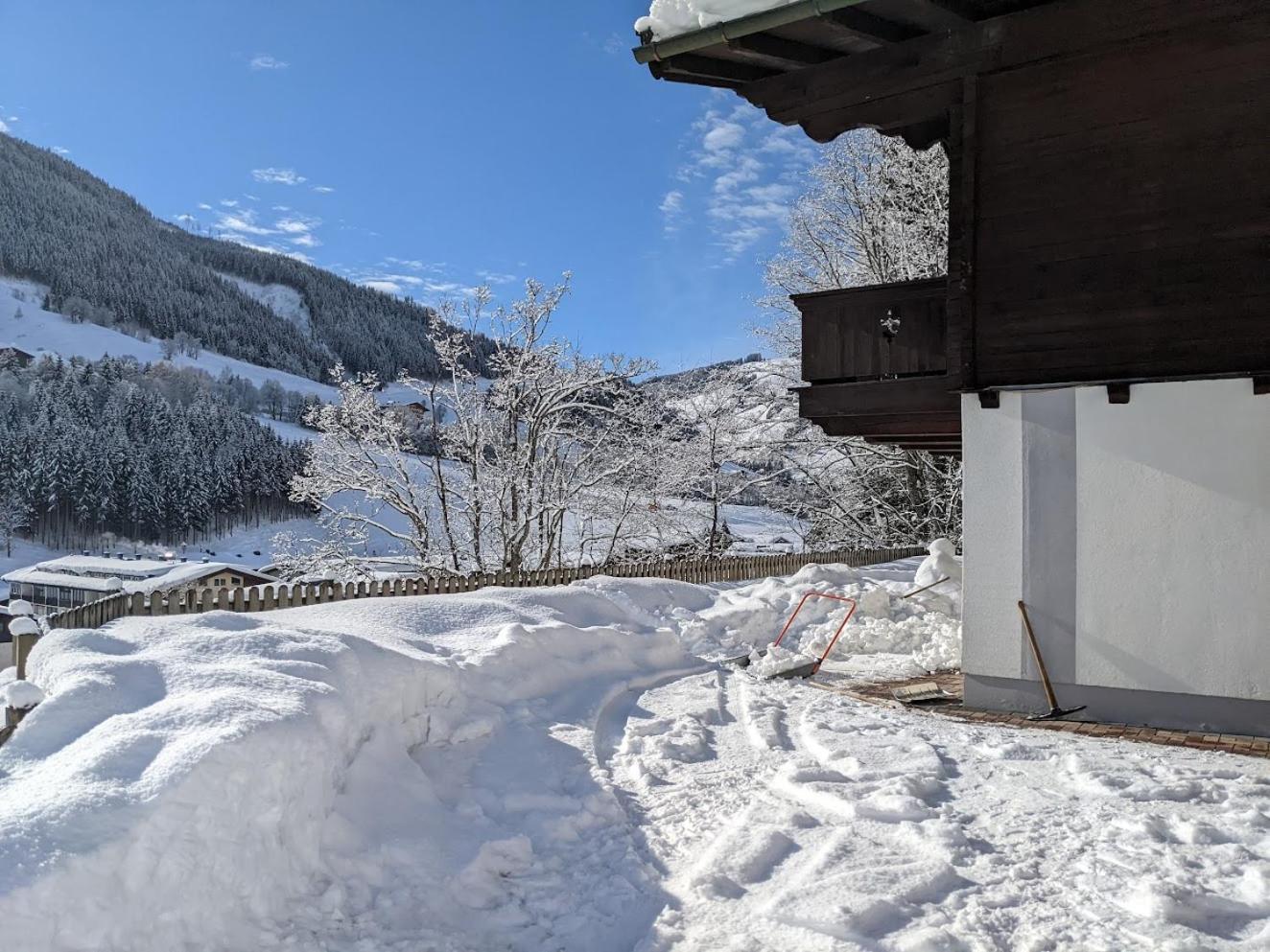 Chalet Apartments Ferius inklusive Jokercard im Sommer