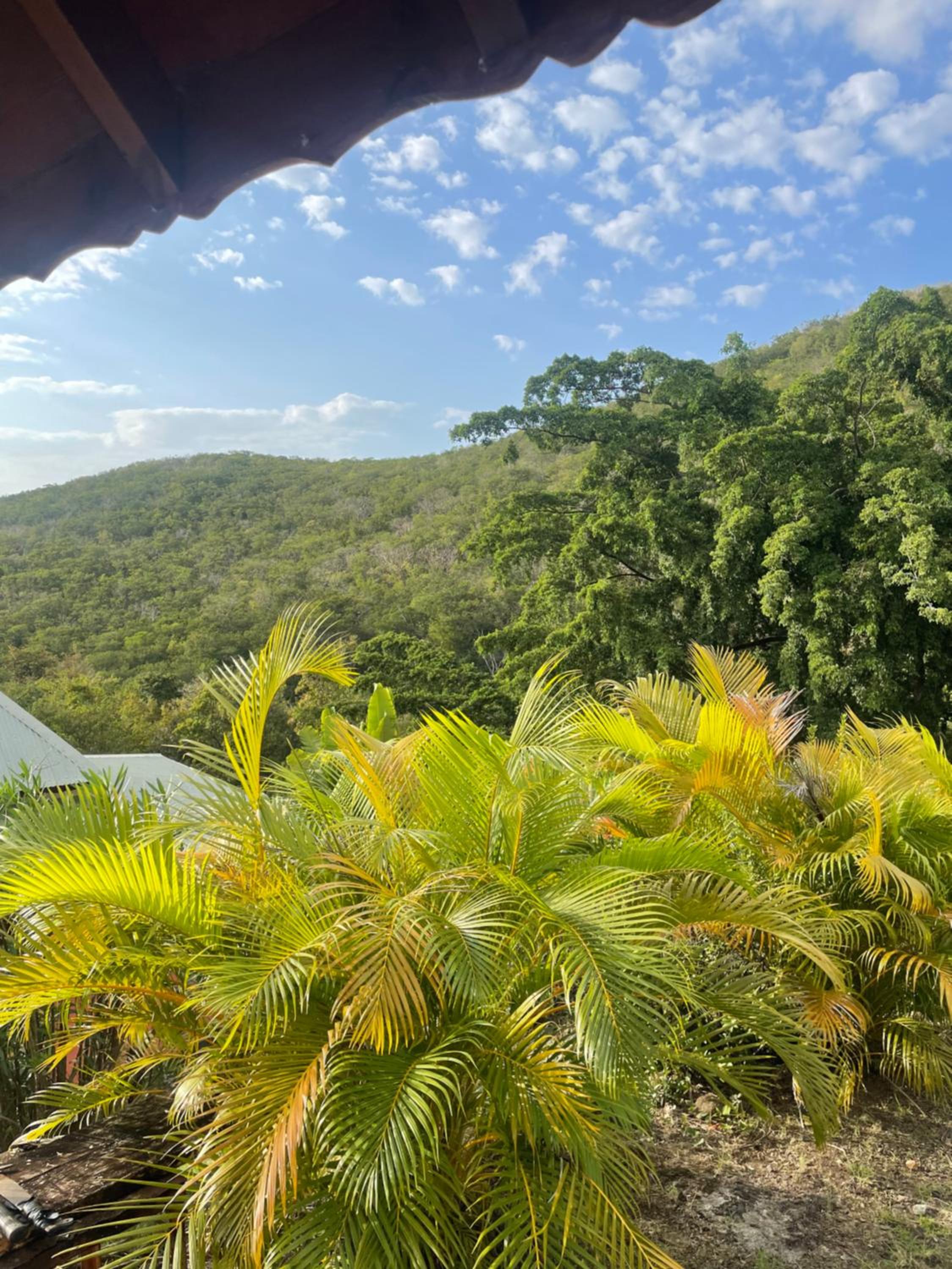 Les Hauts de Grand Case