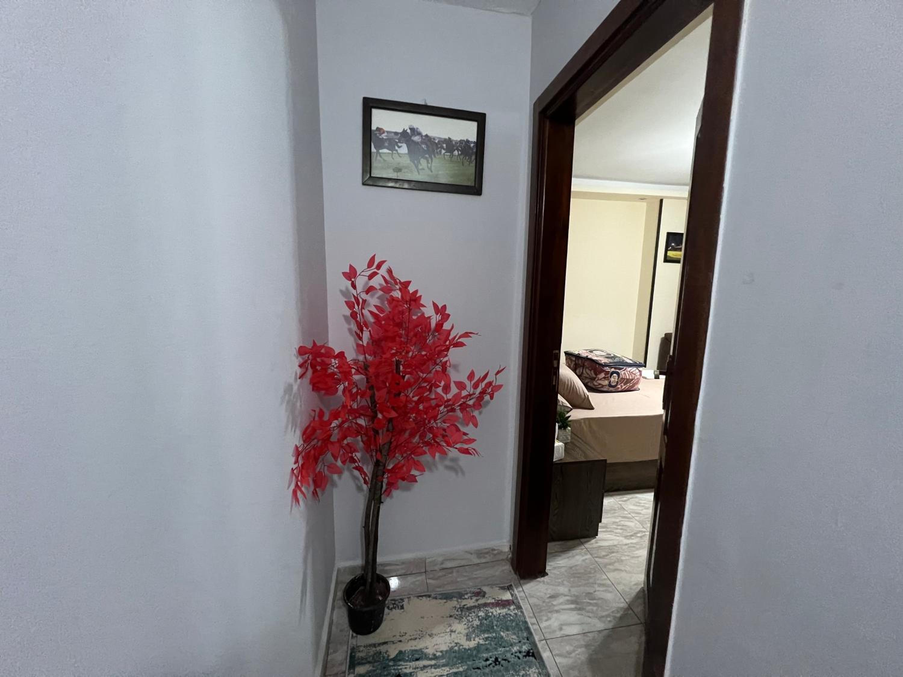 Luxury apartment Downtown Cairo (Amazing, Central)