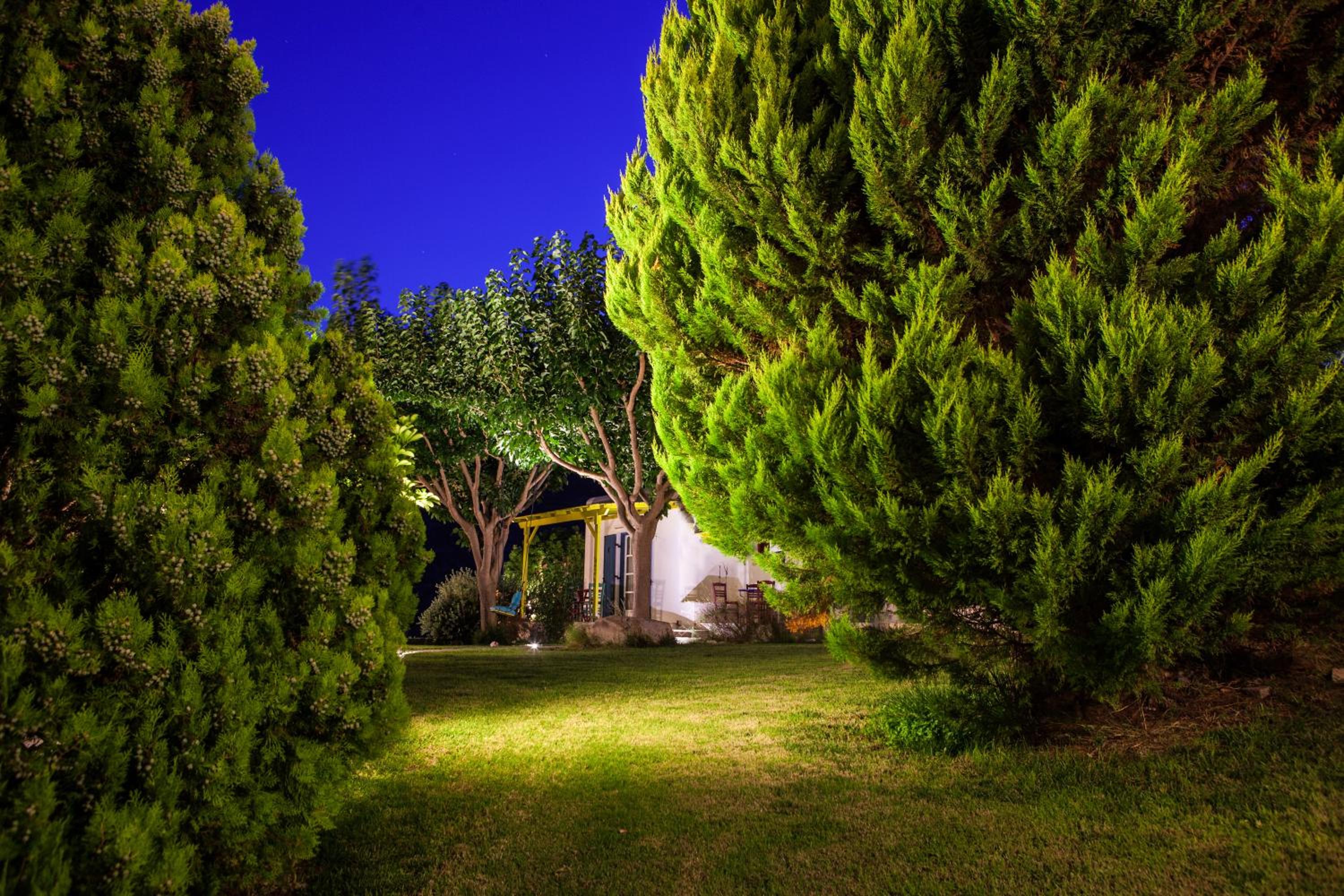 Photo 43