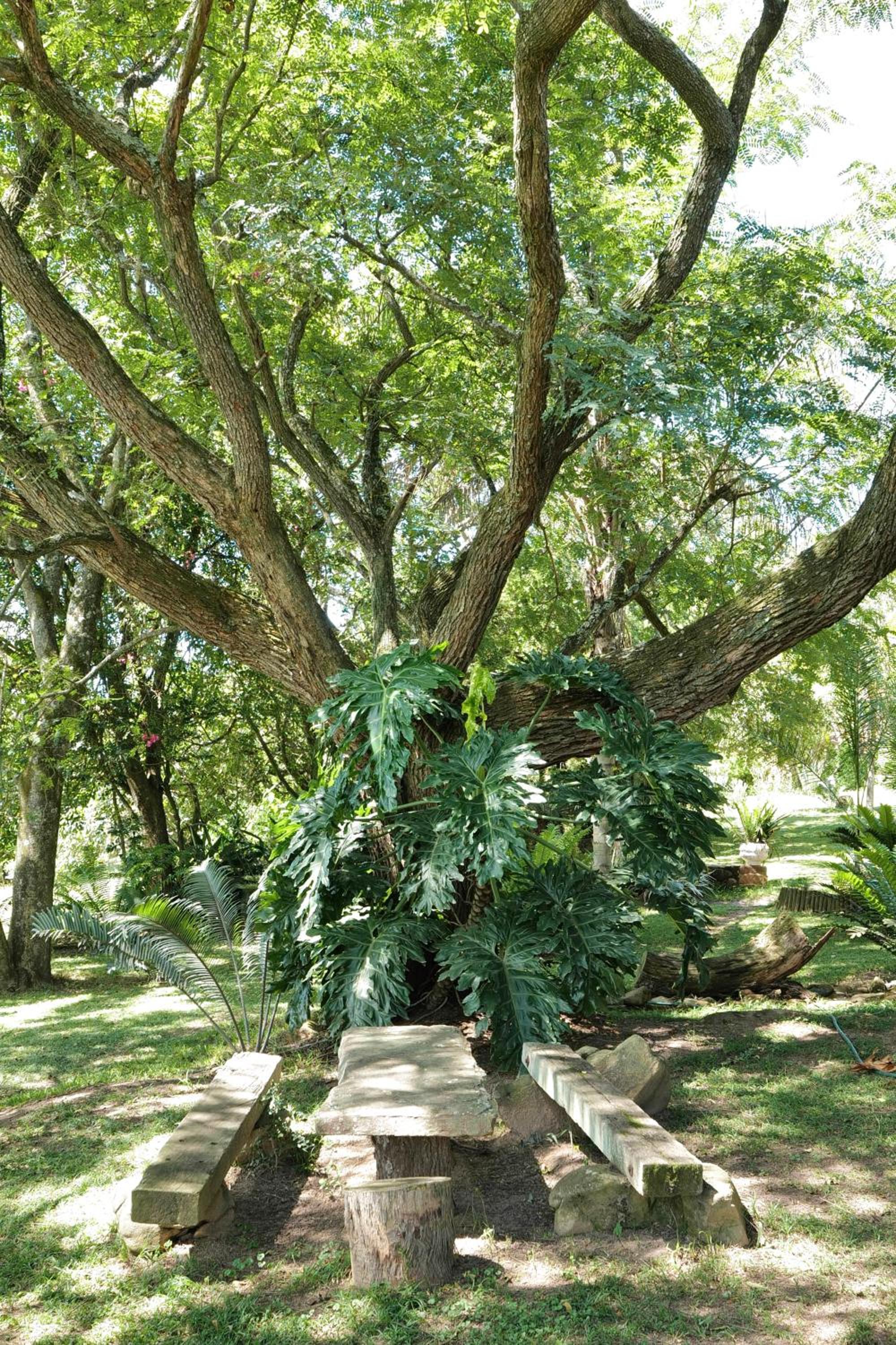Photo 42