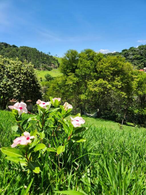 Casa Da Floresta Cercada com Piscina