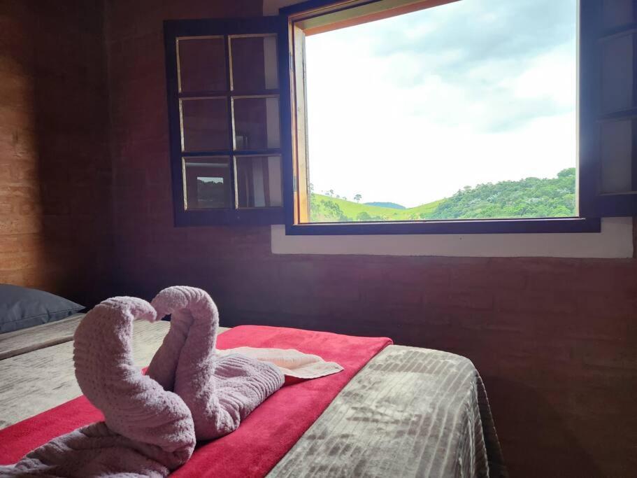 Casa Da Floresta Cercada com Piscina