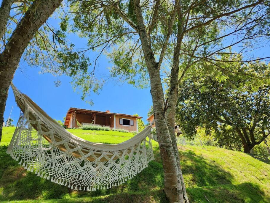 Casa Da Floresta Cercada com Piscina