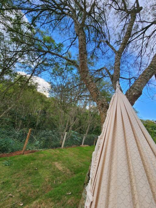 Casa Da Floresta Cercada com Piscina