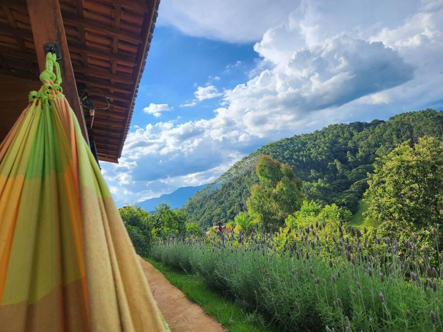 Casa Da Floresta Cercada com Piscina