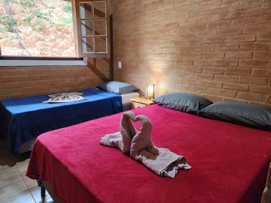 Casa Da Floresta Cercada com Piscina