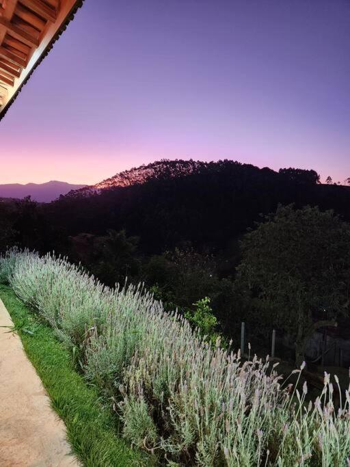 Casa Da Floresta Cercada com Piscina