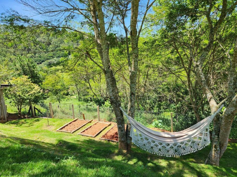 Casa Da Floresta Cercada com Piscina